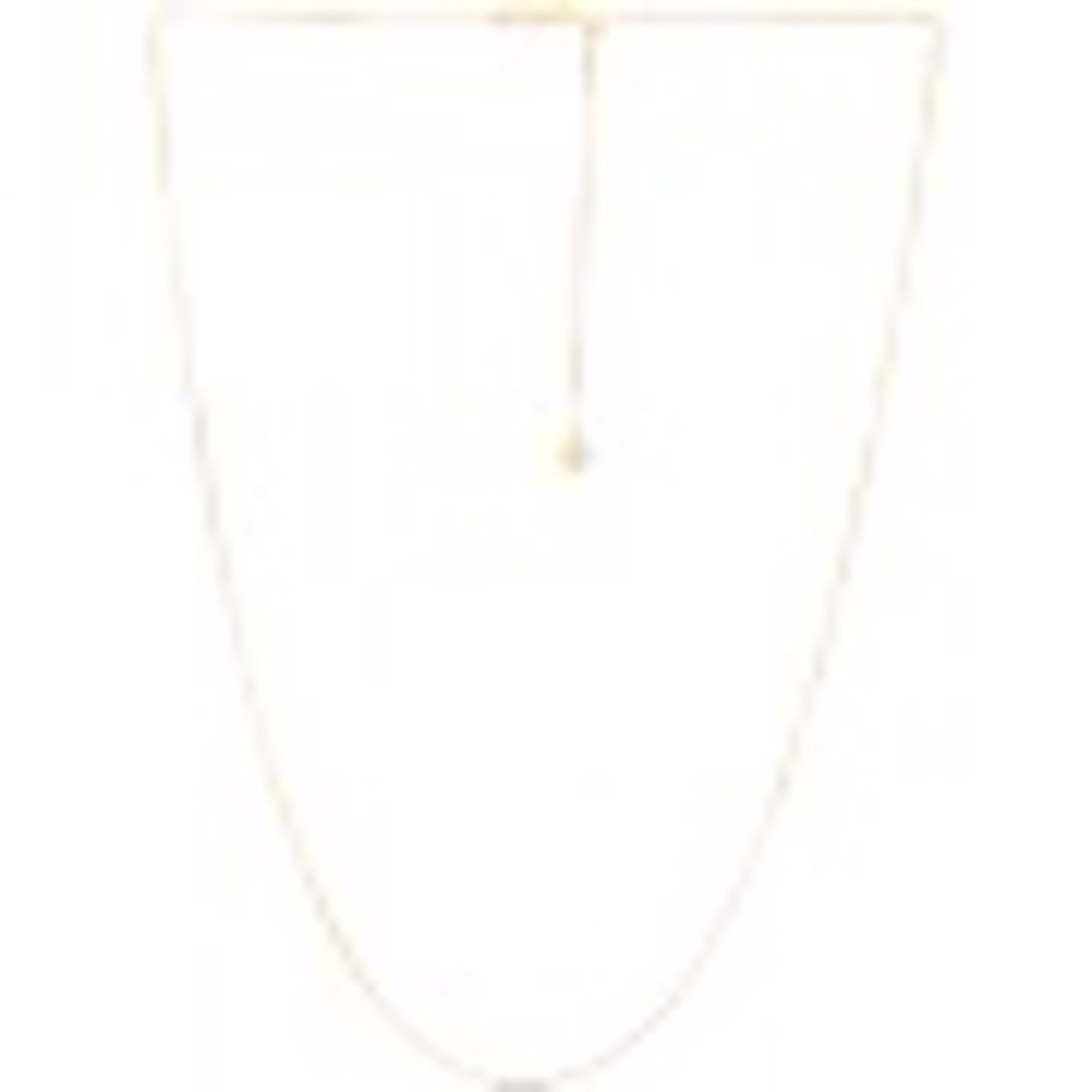 Necklace - 14kt Gold Adjustable Chain by Indigo Desert Ranch - Jewelry