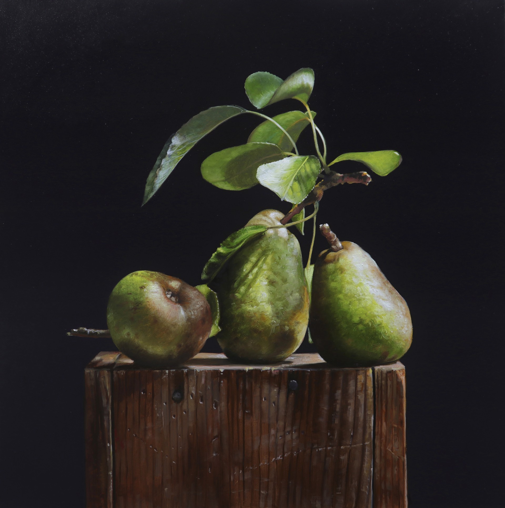 Pears by Larry Preston