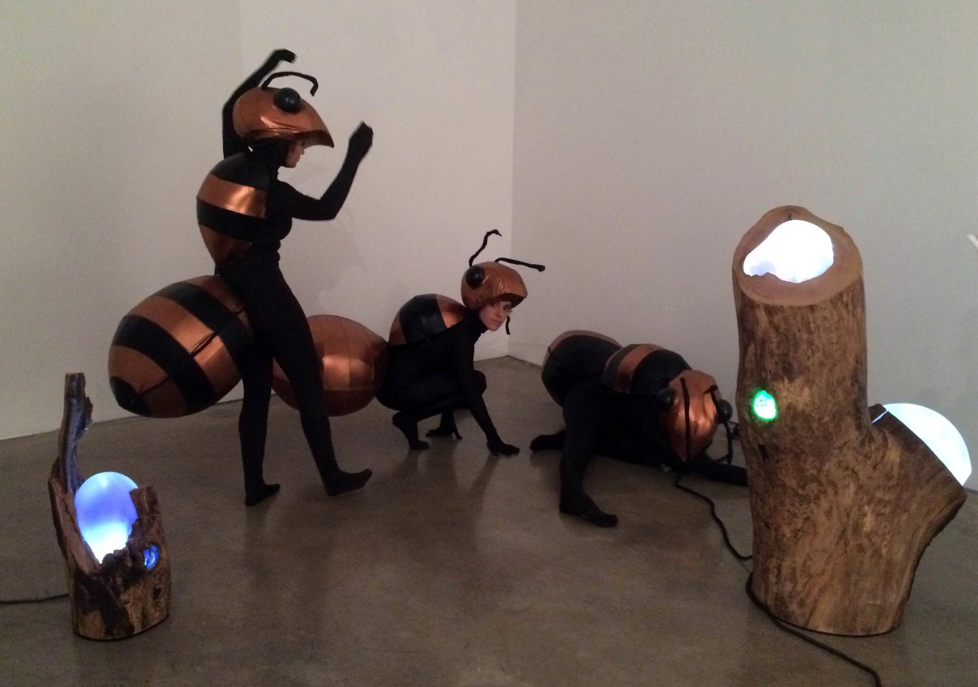 Performance (Ants): Where Does Time Begin? by Katja Loher