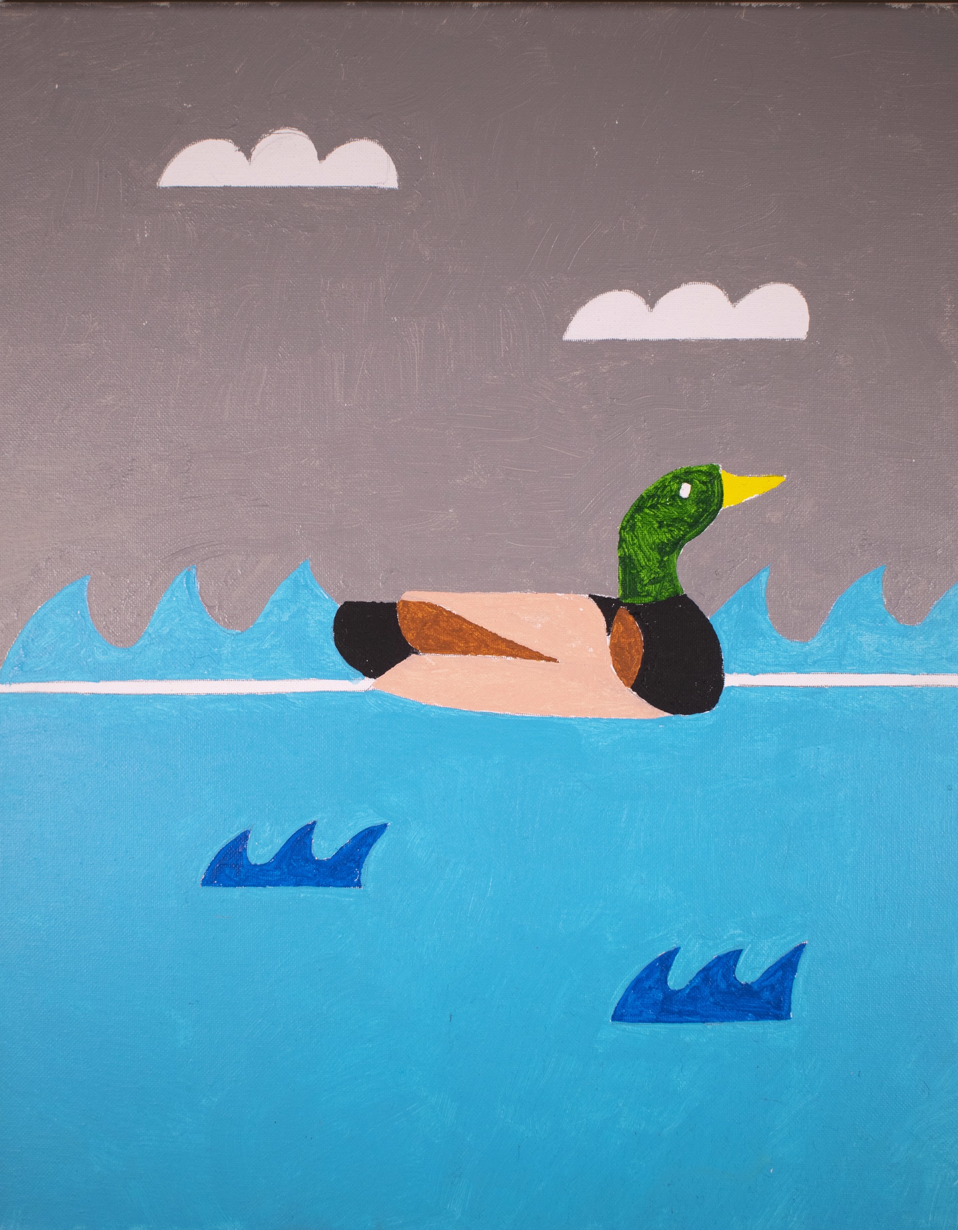 Duck by Barry Senft