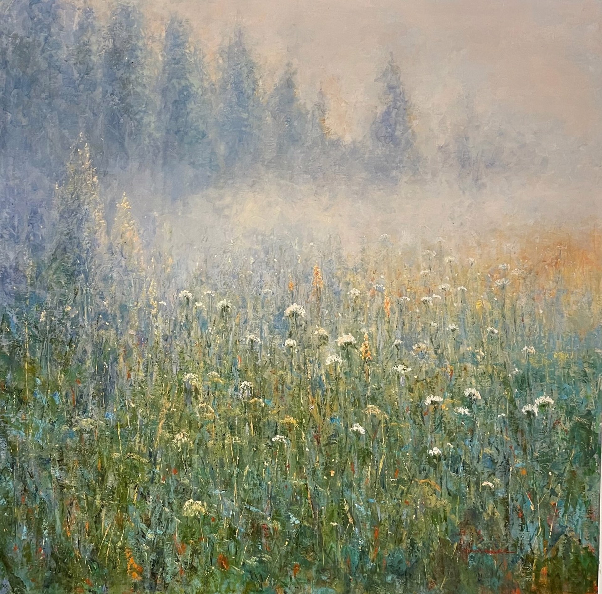 Misty Field by The Studio