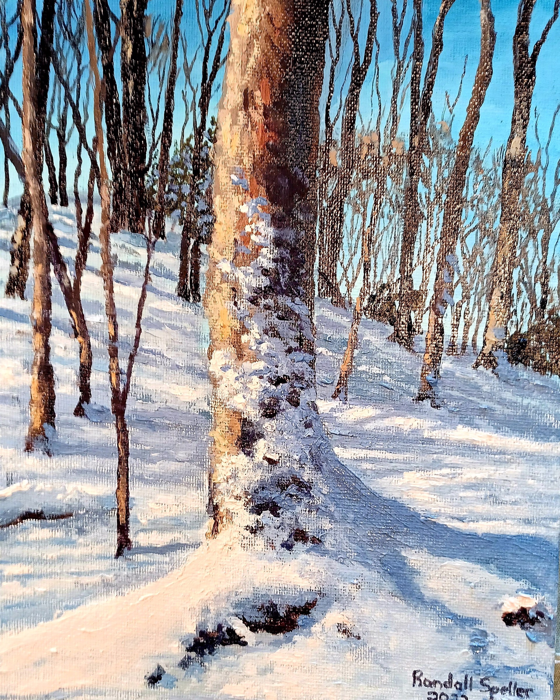 Winter Roots by Randall Speller