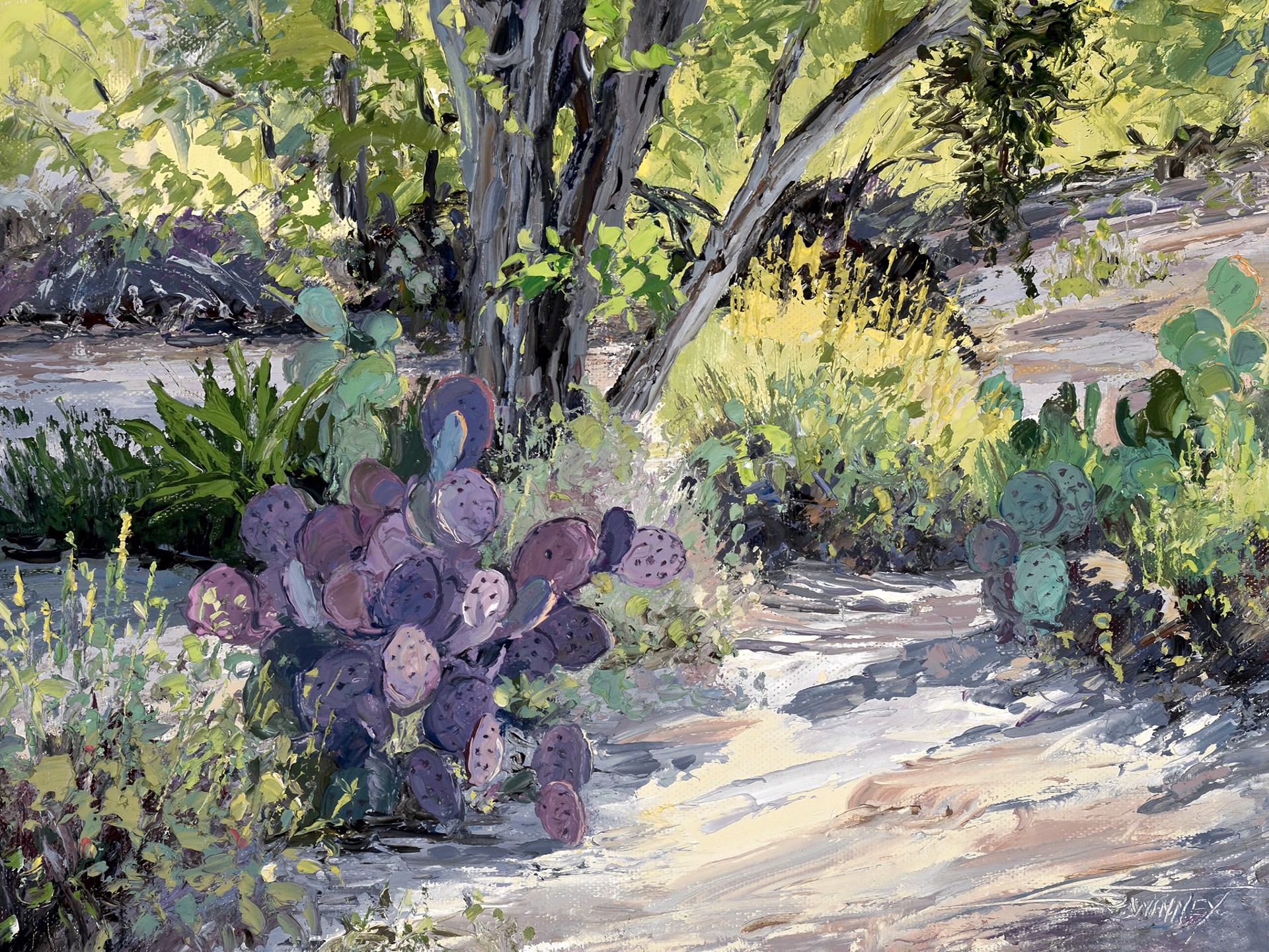 Cactus Purples by Carol Swinney