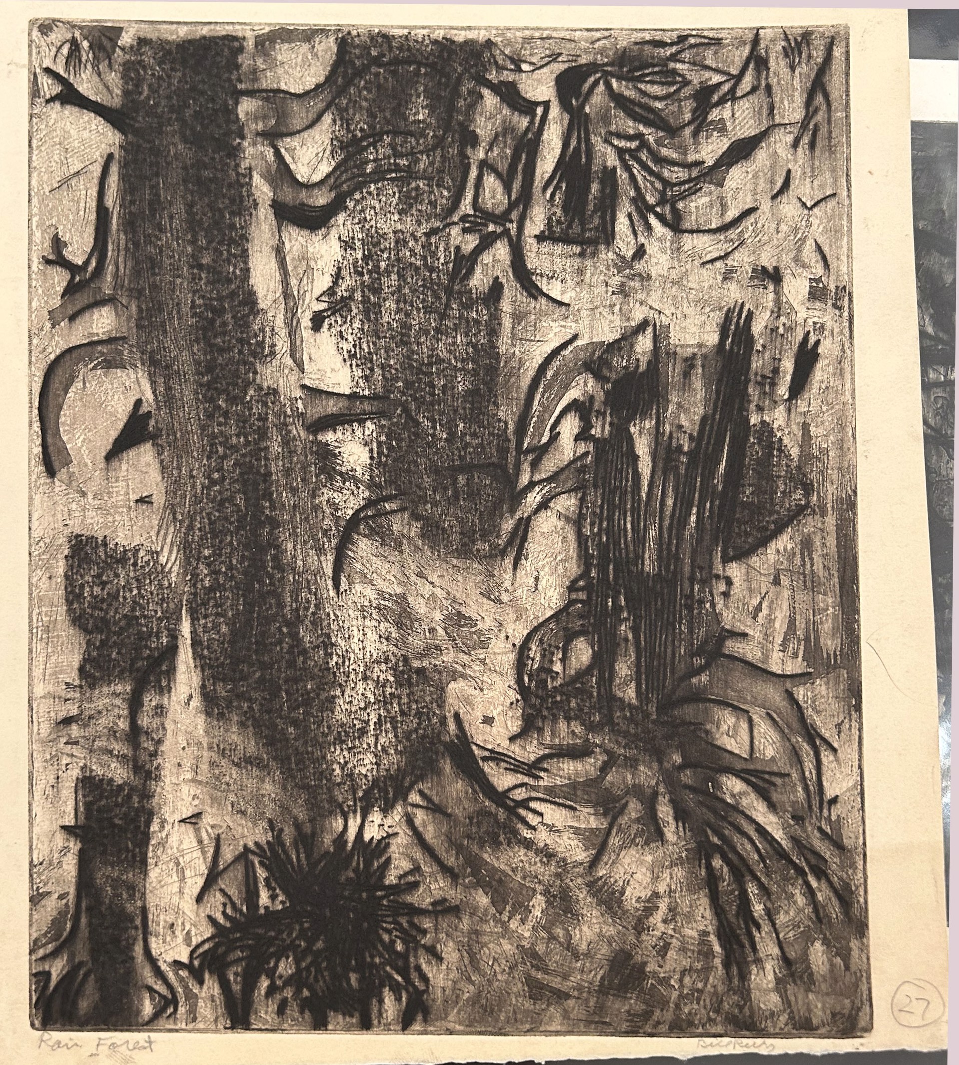 27c. Rain Forest by Bill Reily Prints