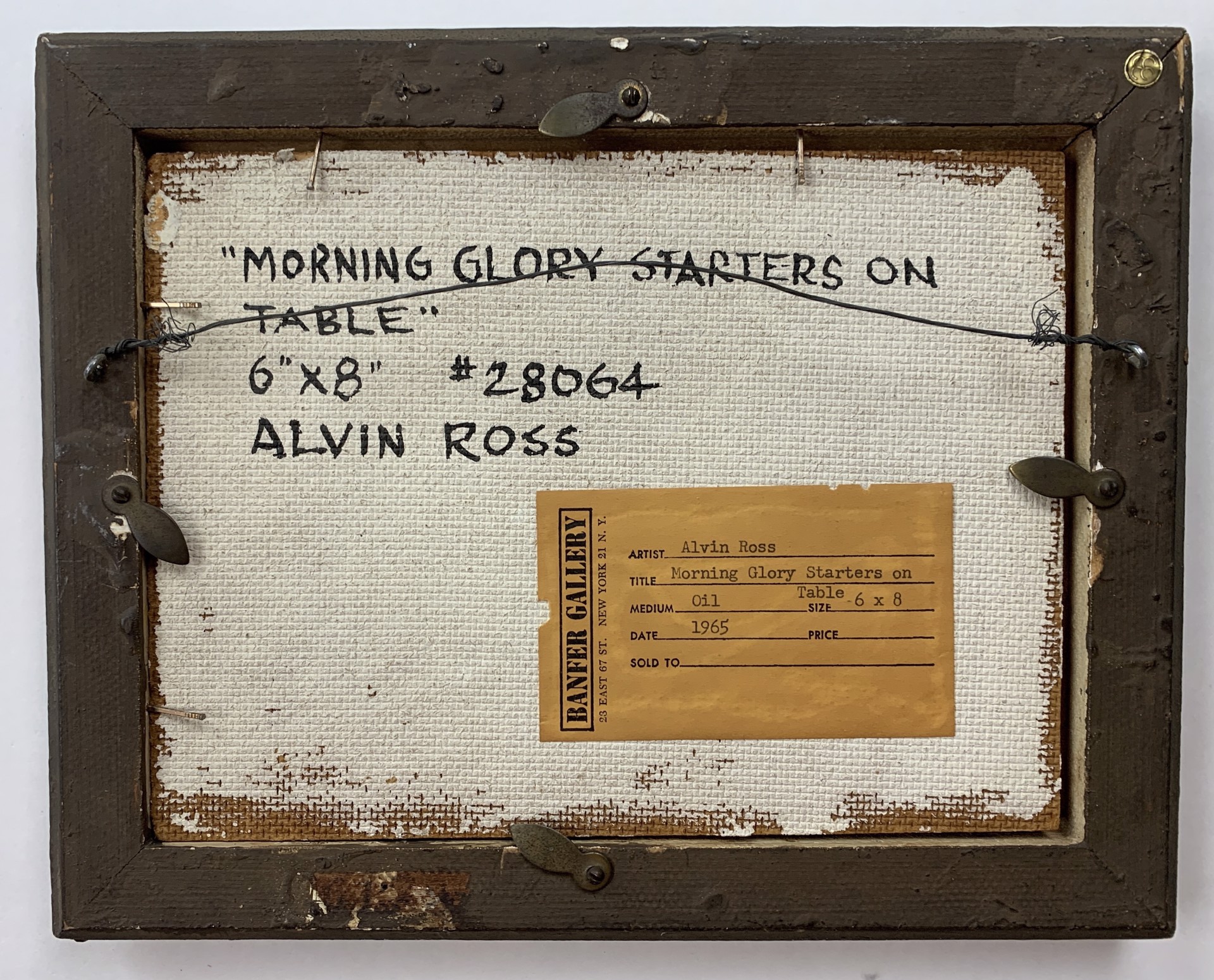 Morning Glory Starters on Table by Alvin Ross