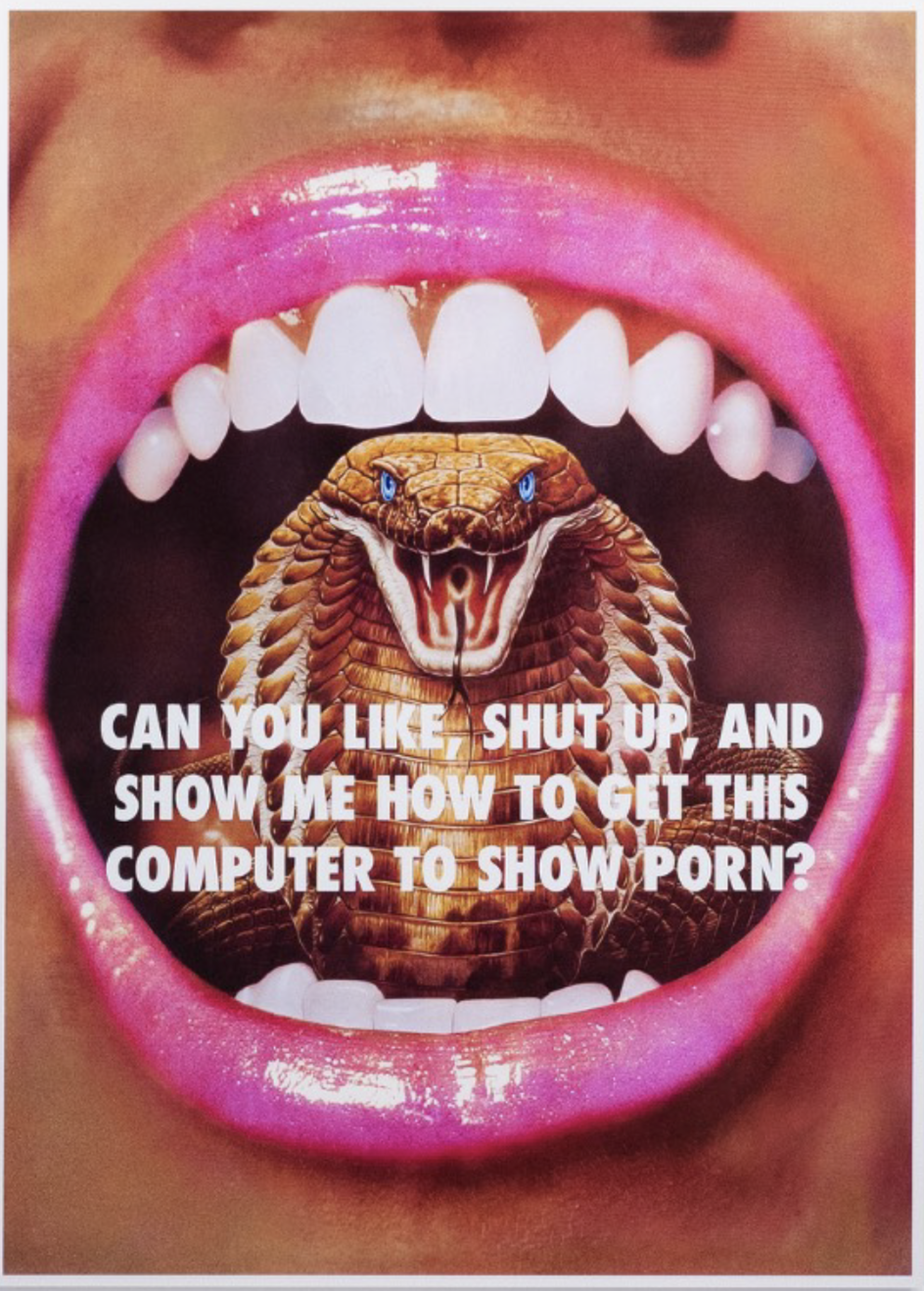 Can You Like, Shut Up, And Show Me How To Get This Computer To Show Porn? by Reed Weily