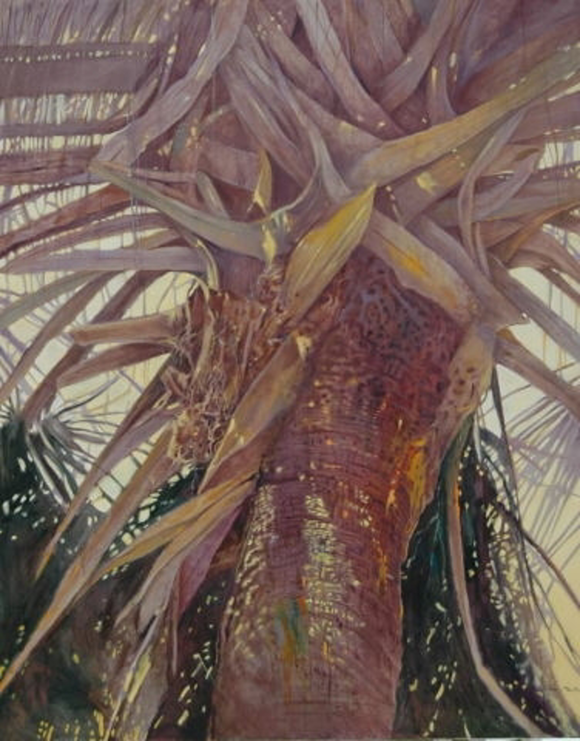 Crown of the Palm by Patricia Madison-Lusk -- Giclee Prints