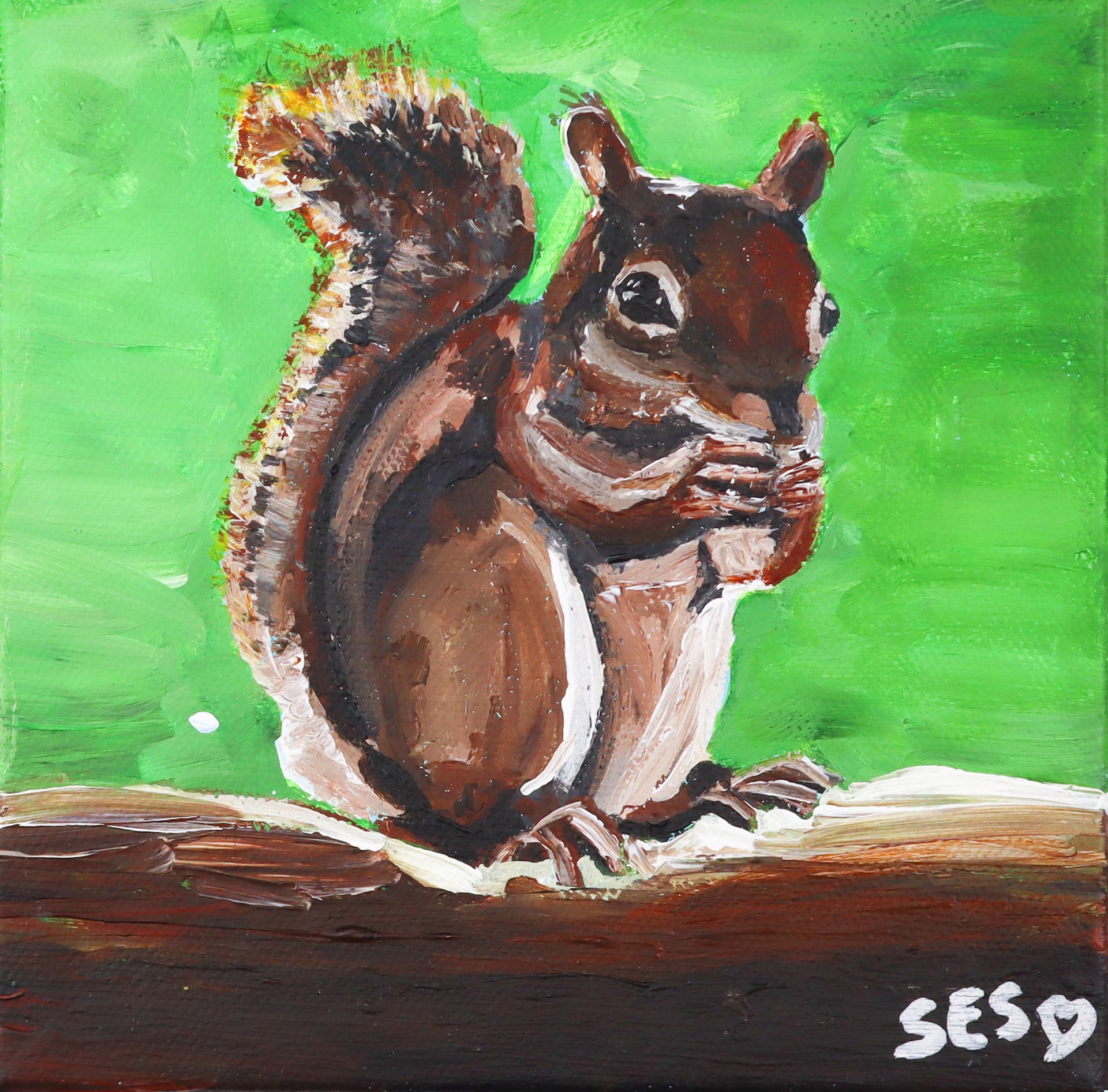 Nuts About Squirrels by Sarah Swan