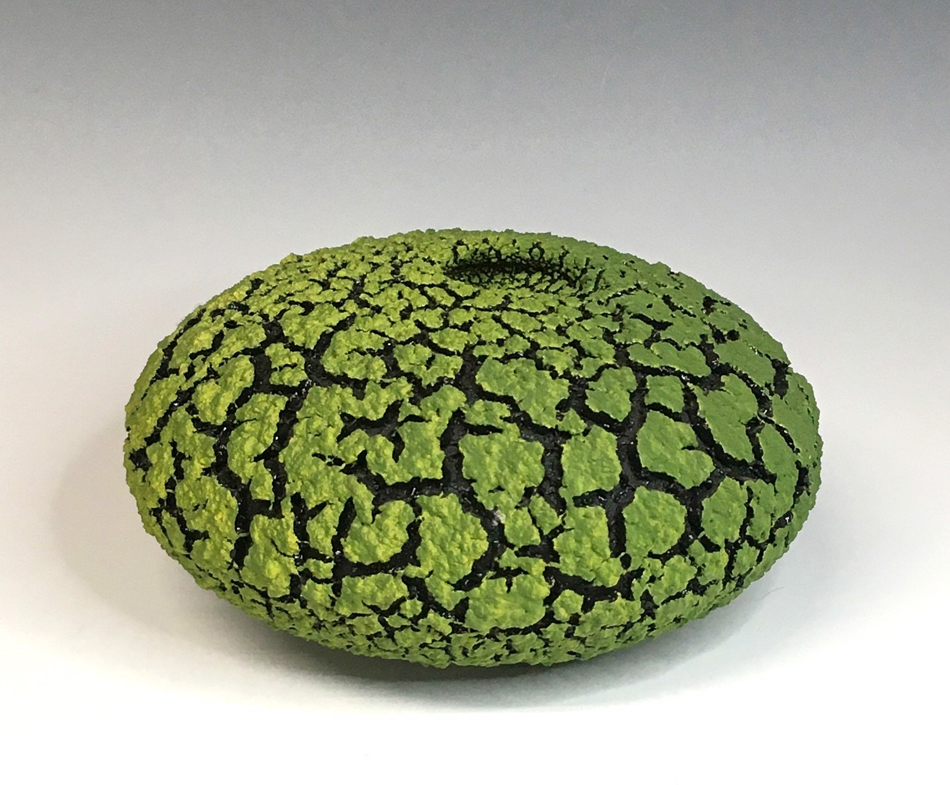 Lime Green Lichen Vessel by Randy O'Brien