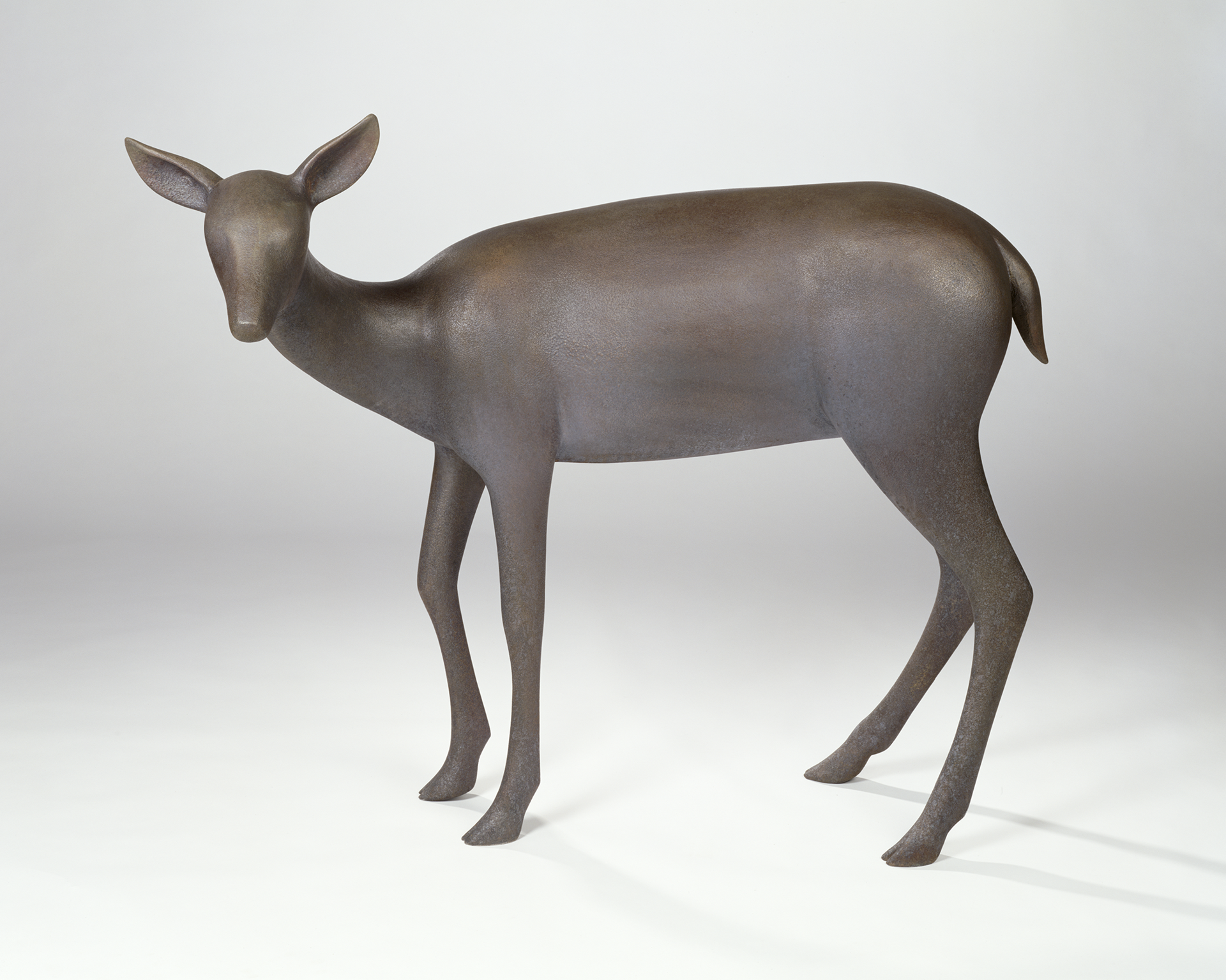 Deer 6     5/6 by Gwynn Murrill
