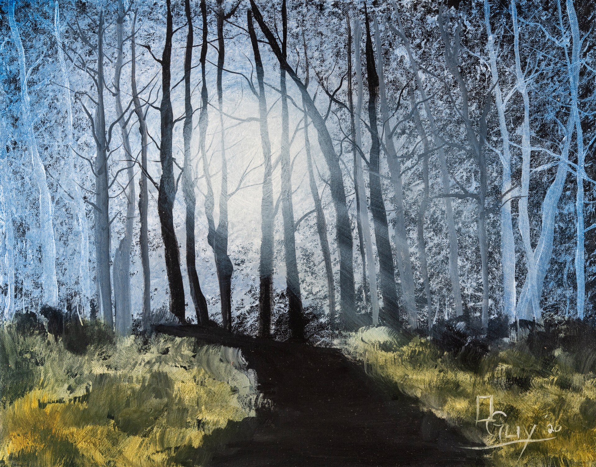 Walk In The woods by Dustin Guy-Harmon