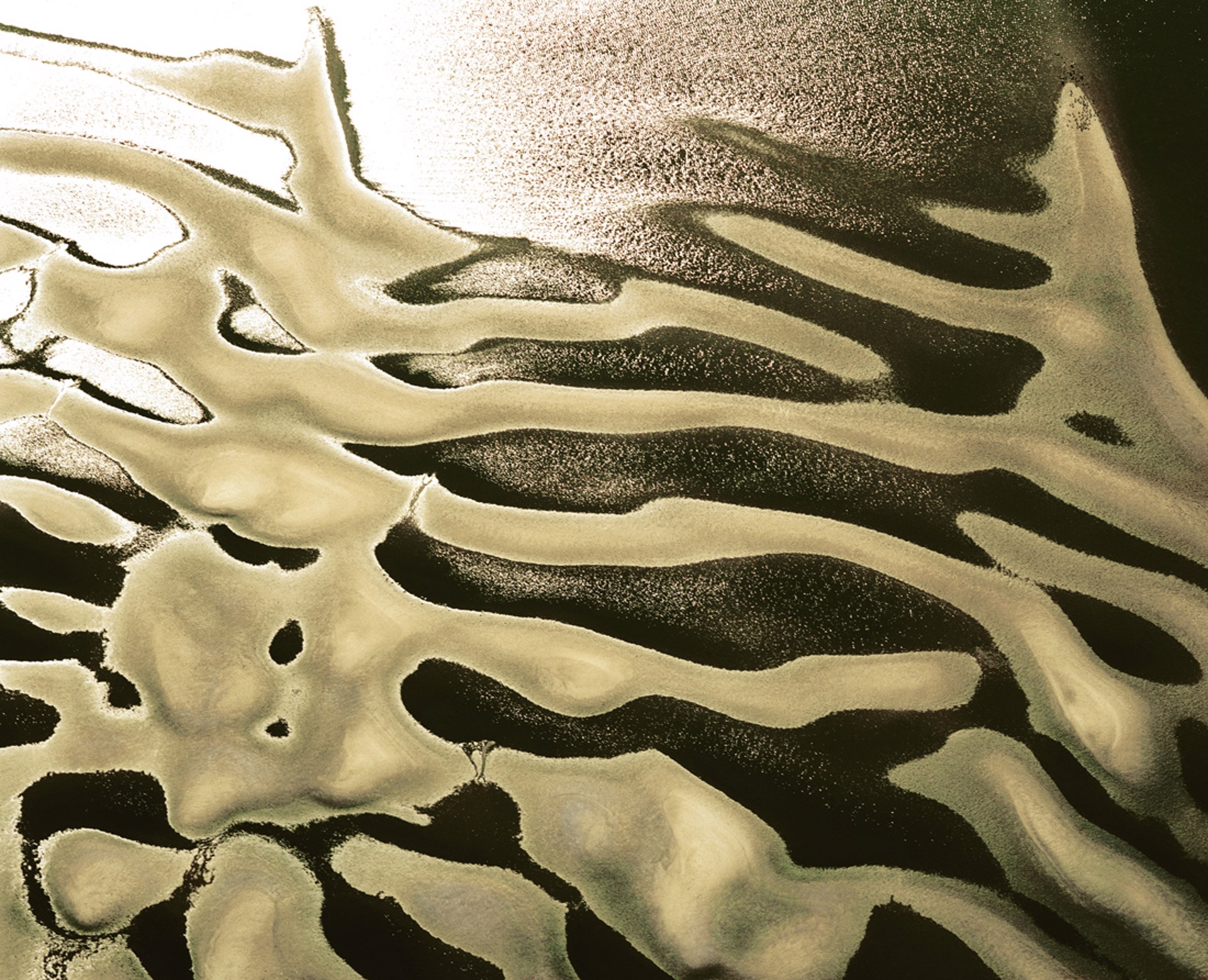 Underwater Dunes, Gulfport, Mississippi, USA by John Griebsch