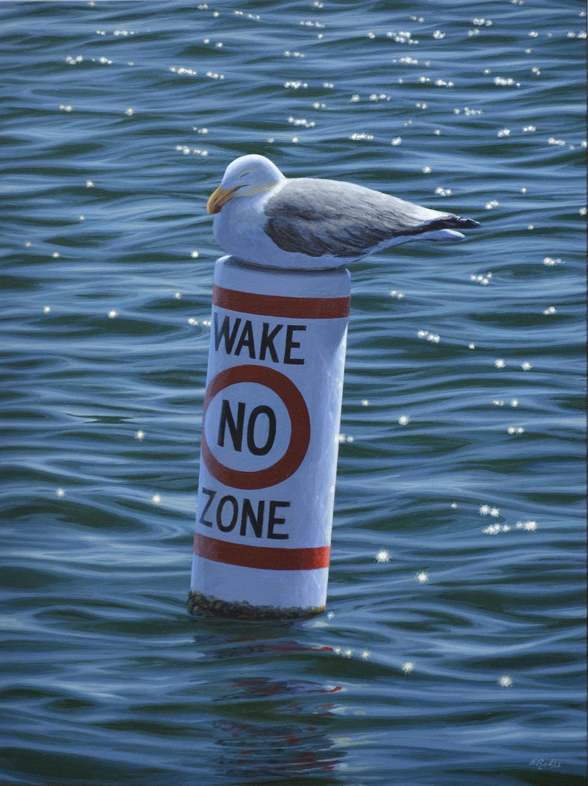 No Wake Zone by Forrest Rodts