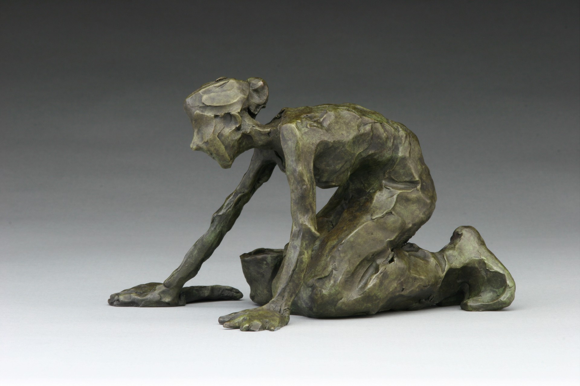 The Hundredth Mess by Jane DeDecker
