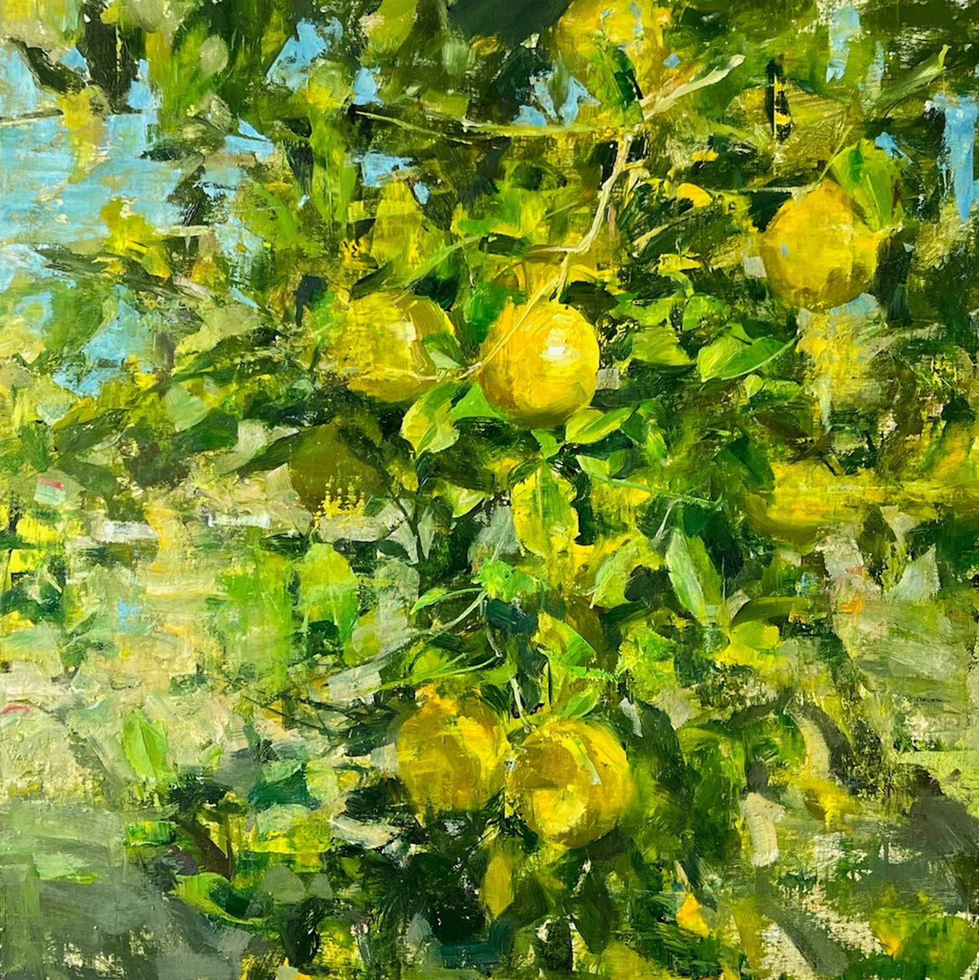 Meyer Lemons by Quang Ho