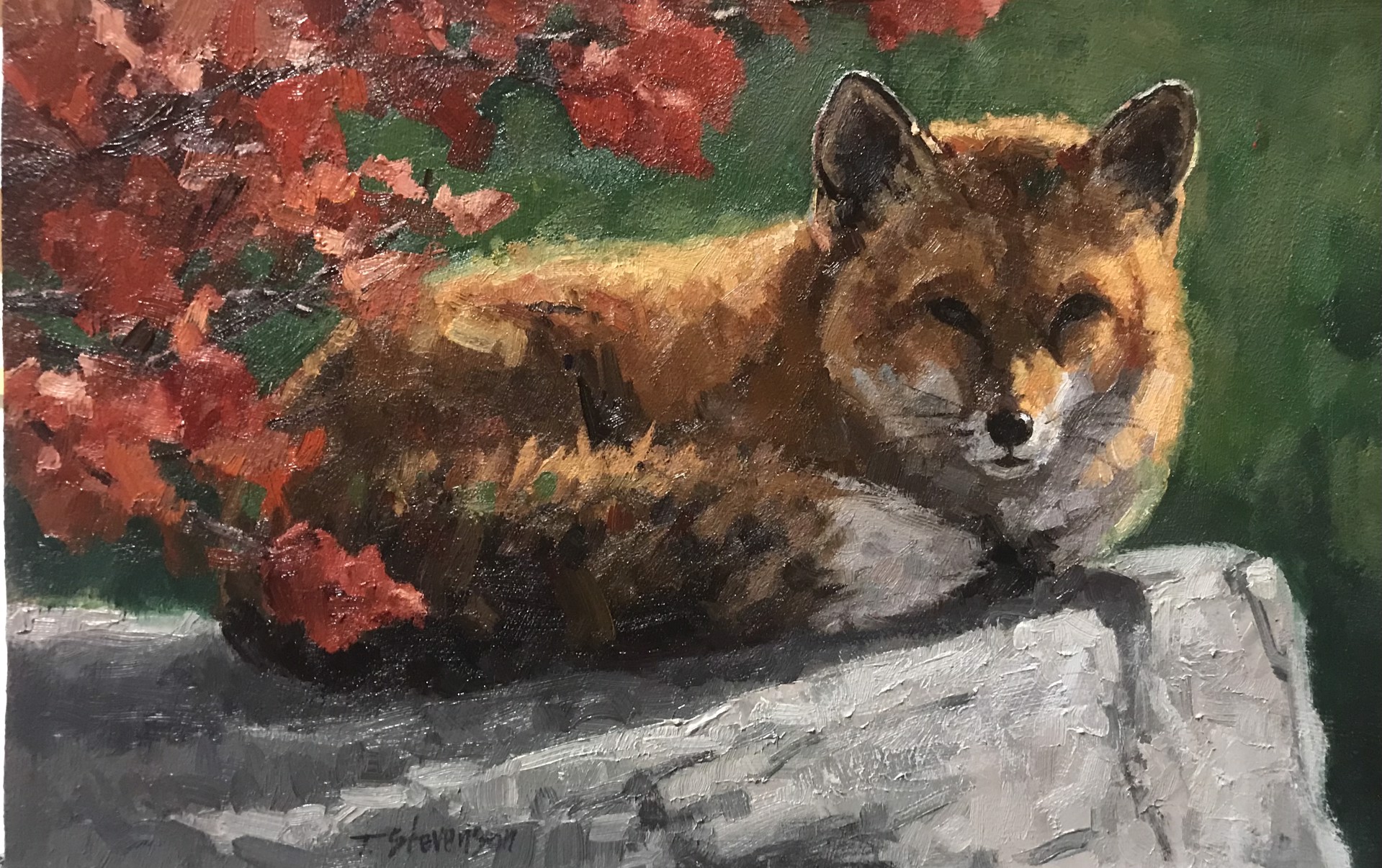 Red Fox, Red Leaves by Tiffany Stevenson