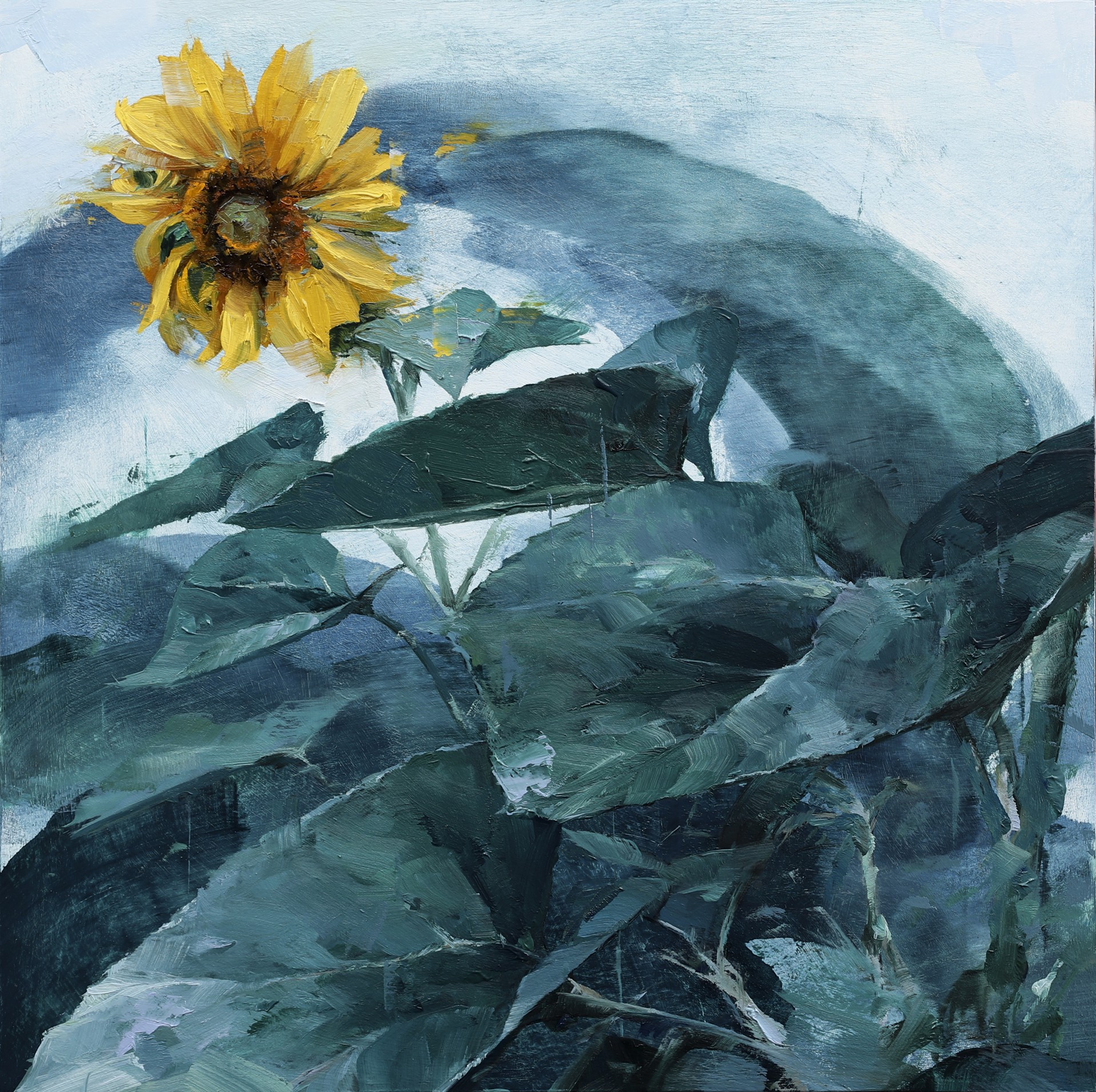 Sunflower Series: #5 by Aron Belka