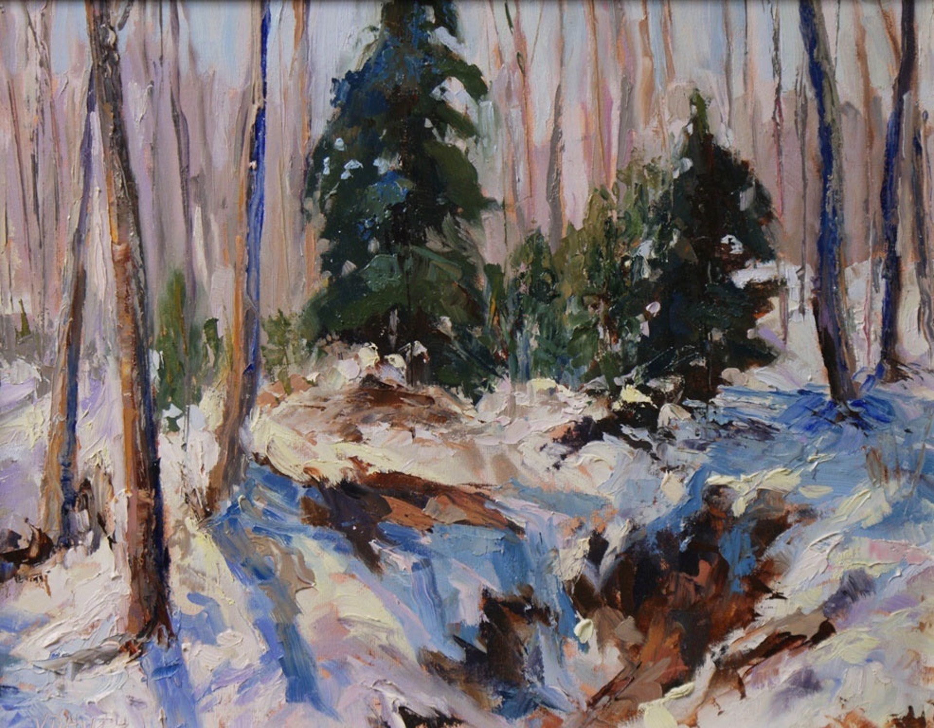 Winter Cedar Shadows by Virginia Dauth