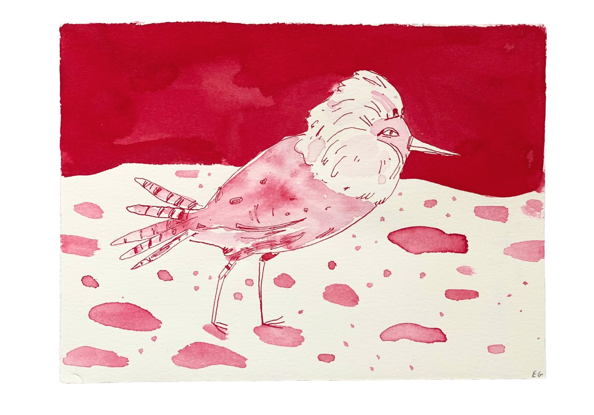 Pink Inkwash Bird #3 by ELIZABETH GRAEBER