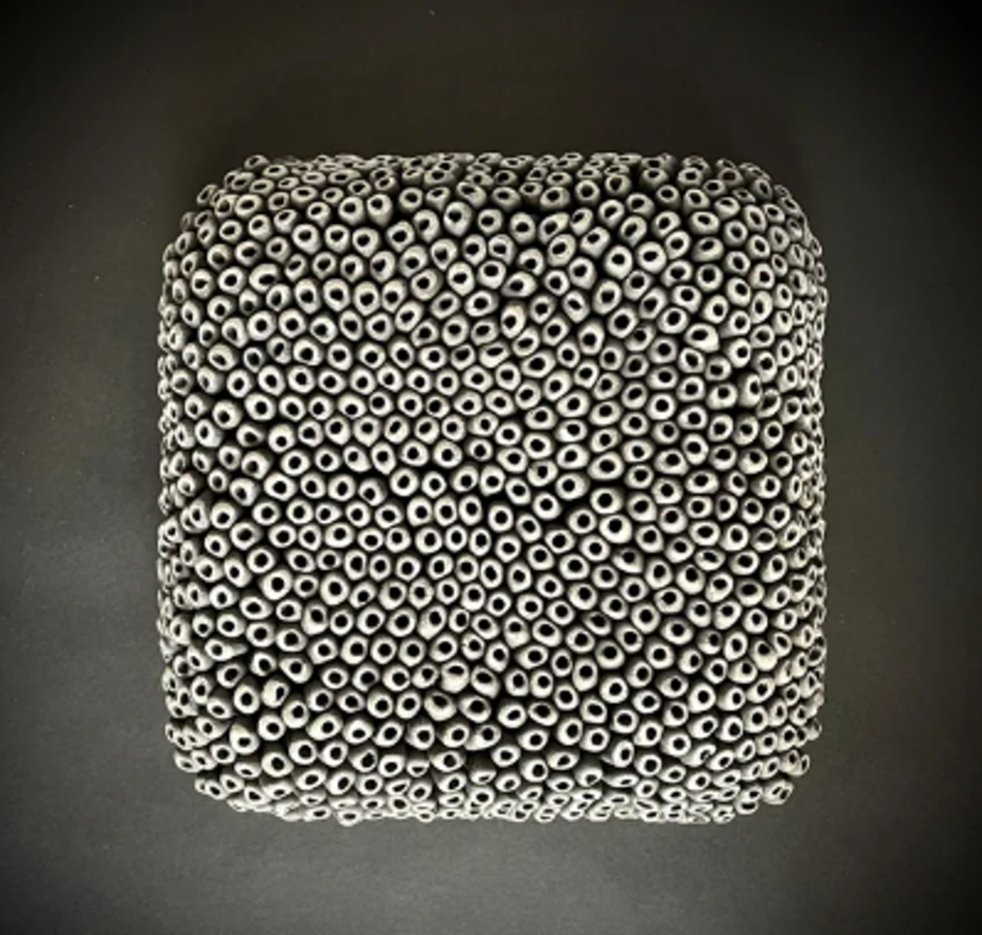 Lichen Wall Tile in Black by Heather Knight