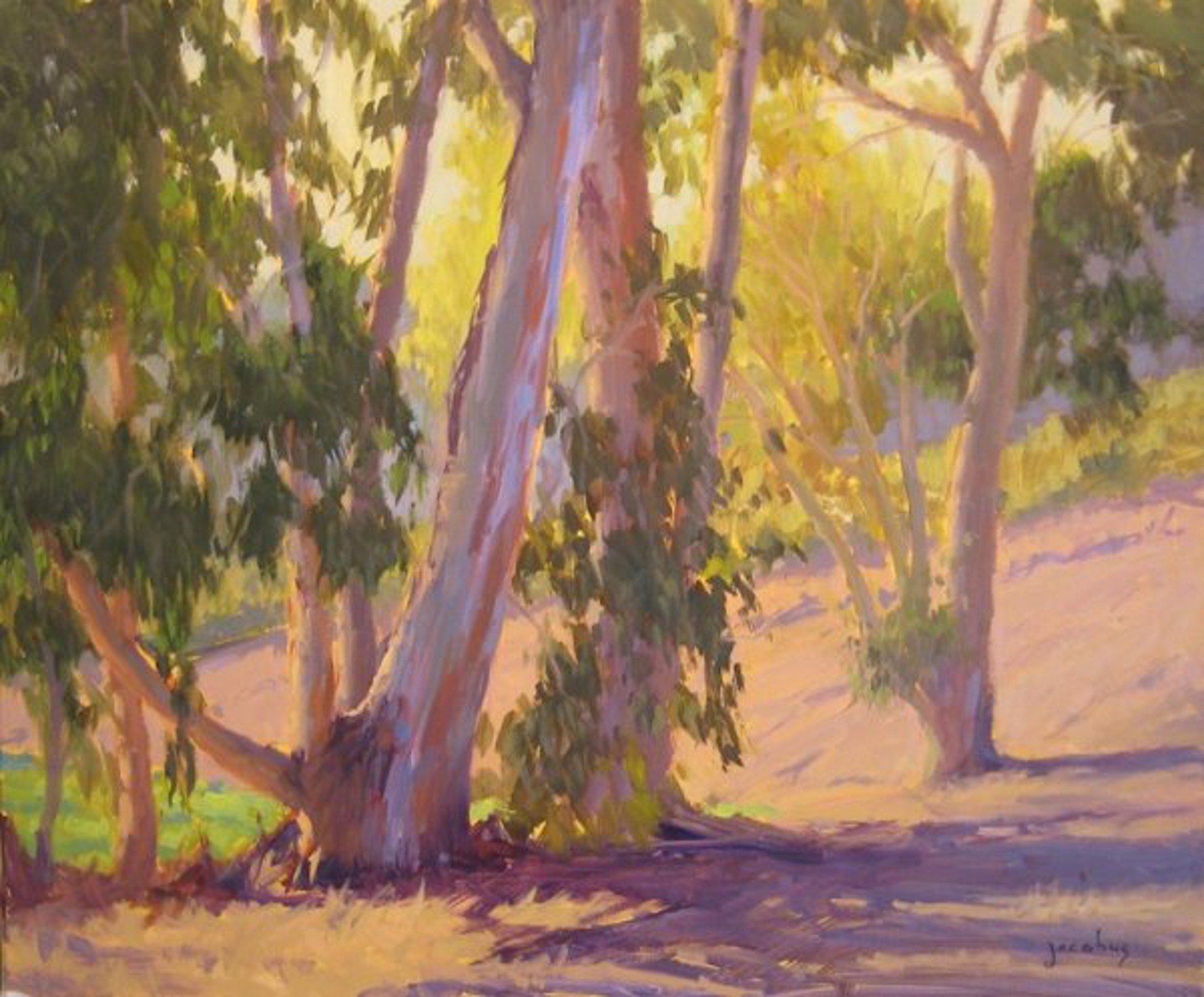 Eucalyptus Colors by Jacobus Baas