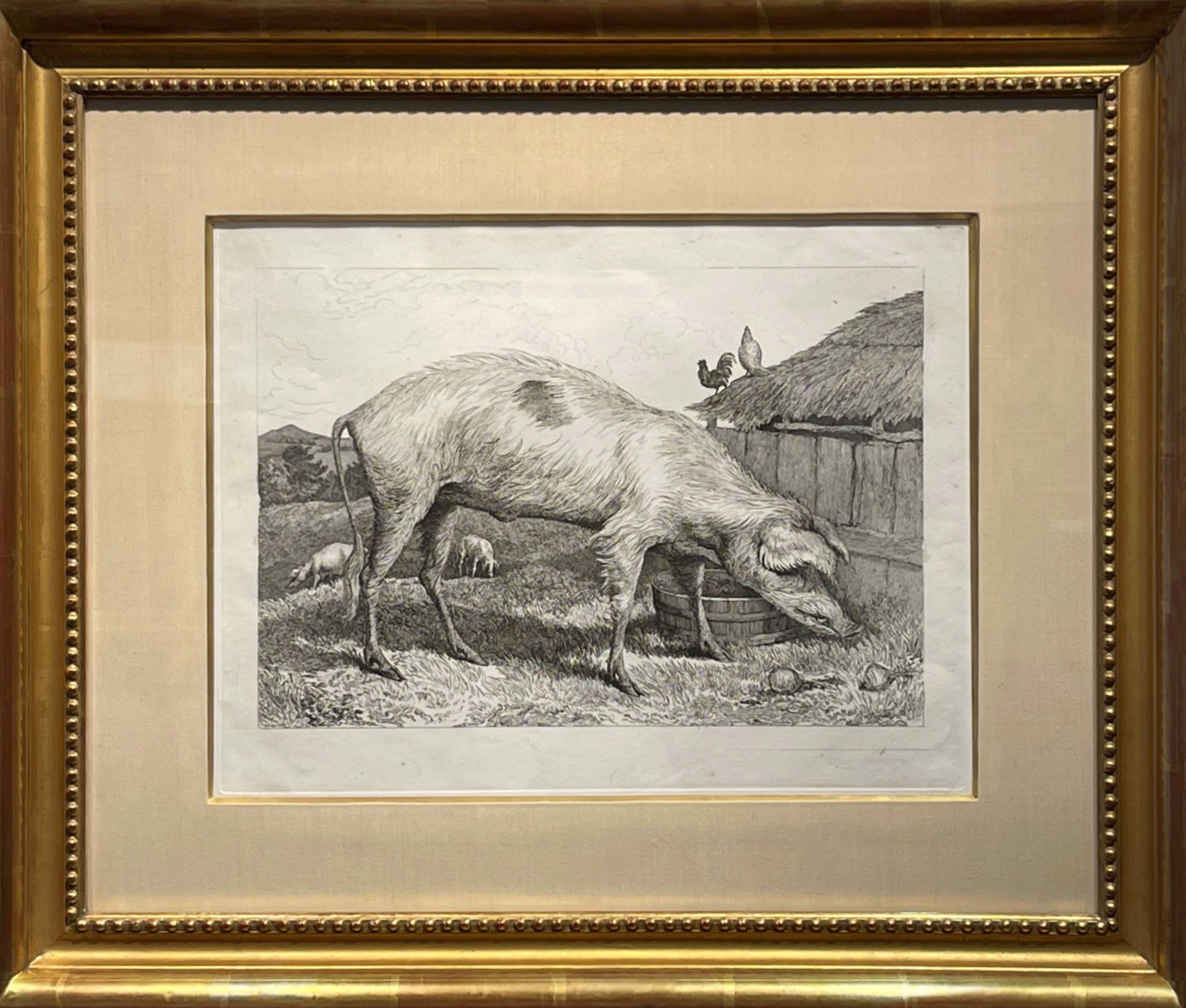 A French Hog, 1818 by Sir Edwin Landseer