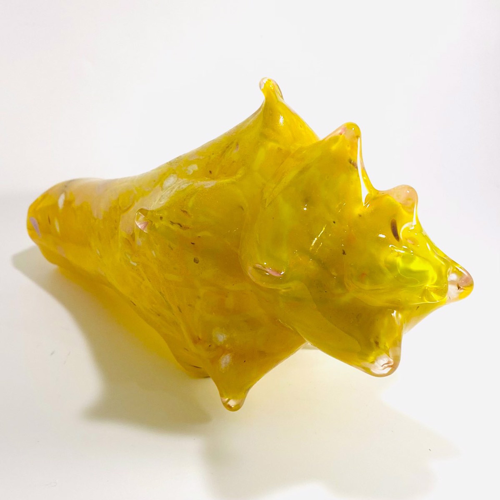 JG22  Glass Conch Shell by John Glass