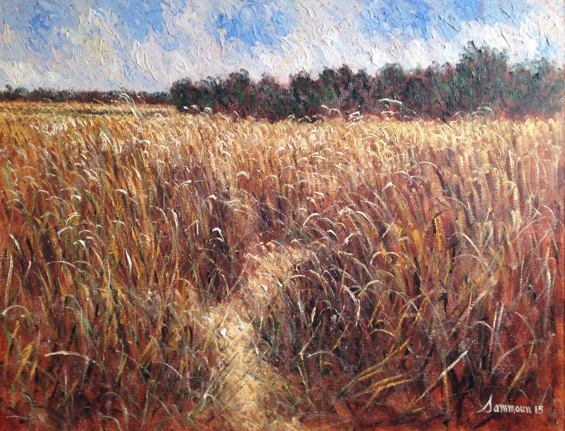 Wheat field, Champ de blé by Samir Sammoun