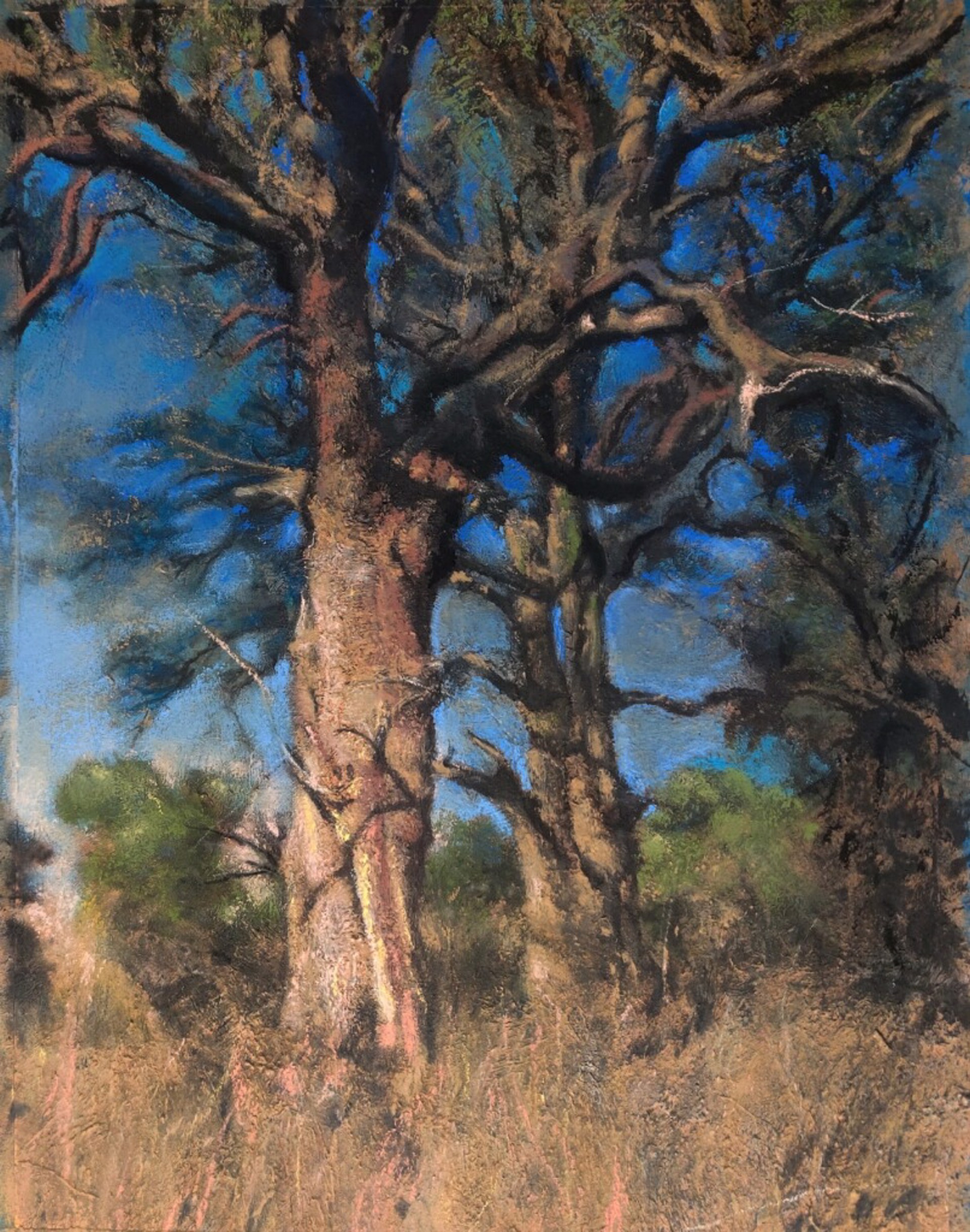 Trees Among the Bramble by Bob Stuth-Wade