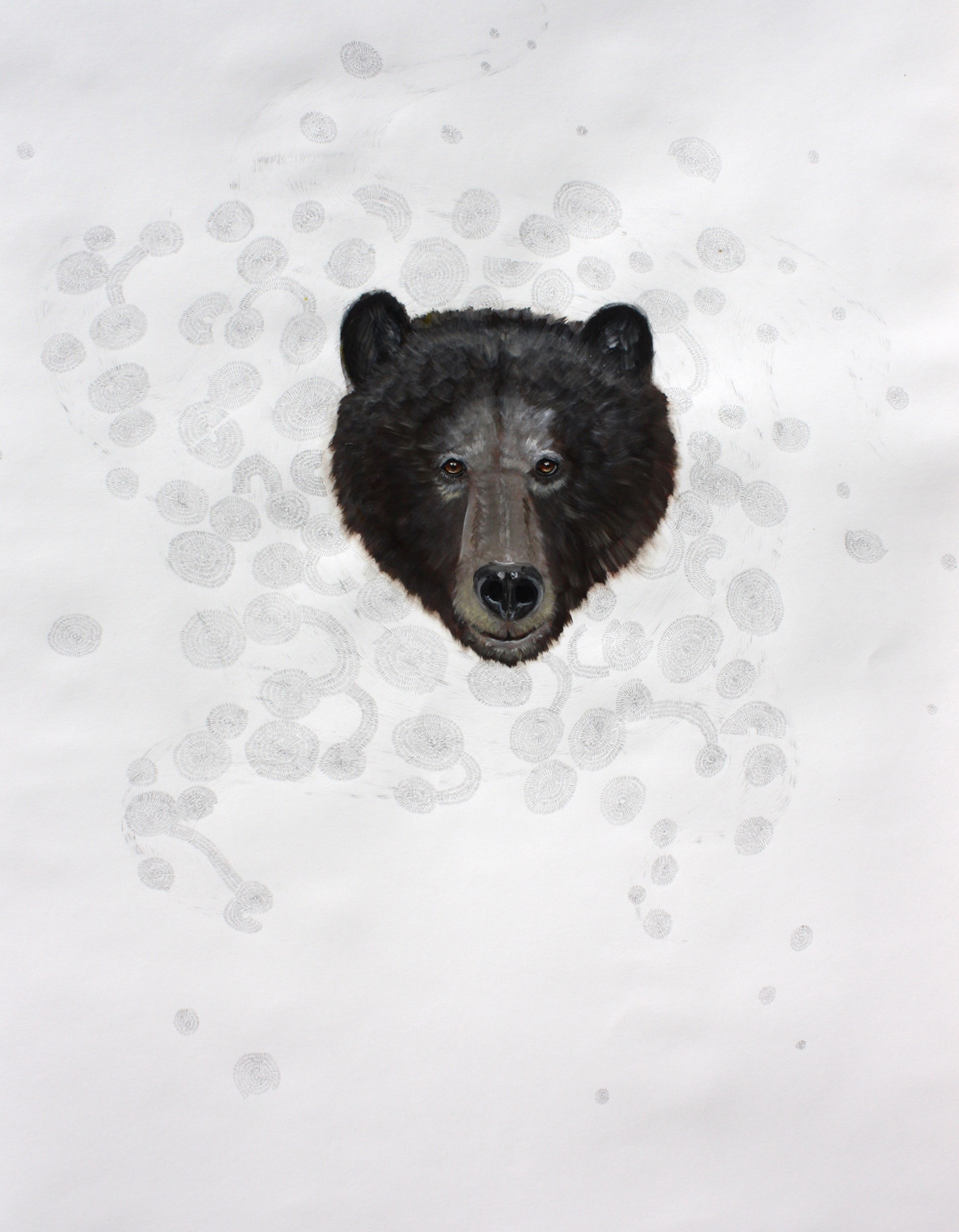 Spirit Bear Drawing by Anne Siems
