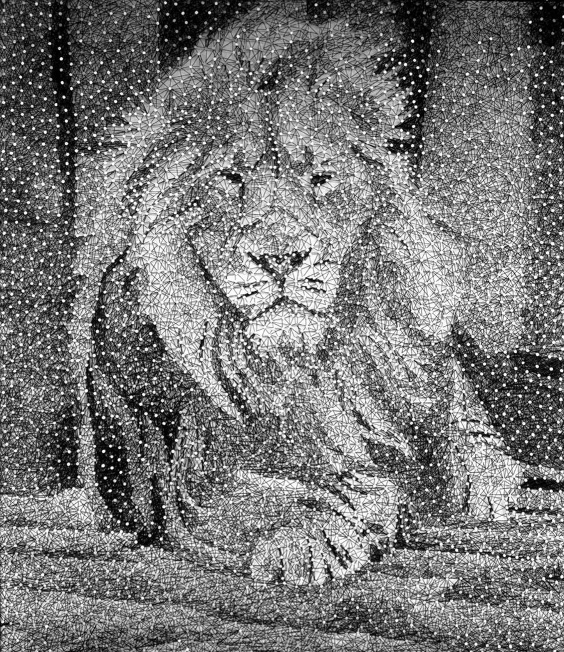 King IV by Nemo Jantzen