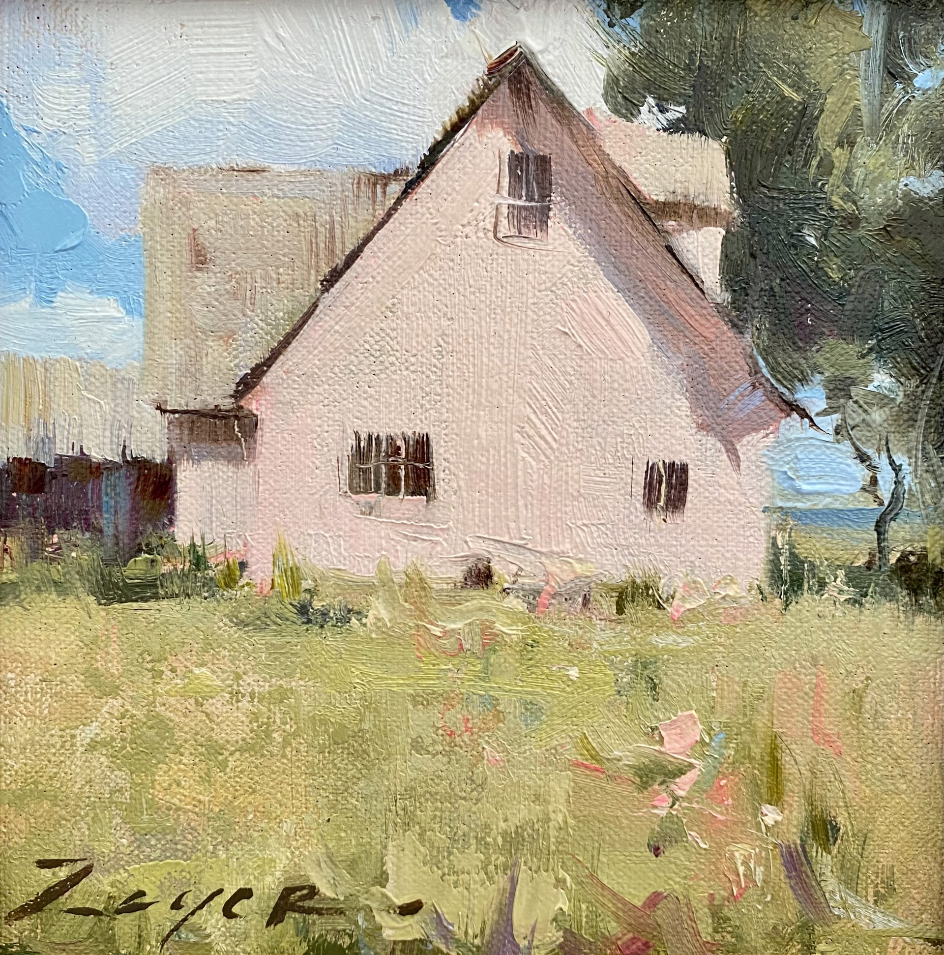 The Little Pink House by Allie Zeyer
