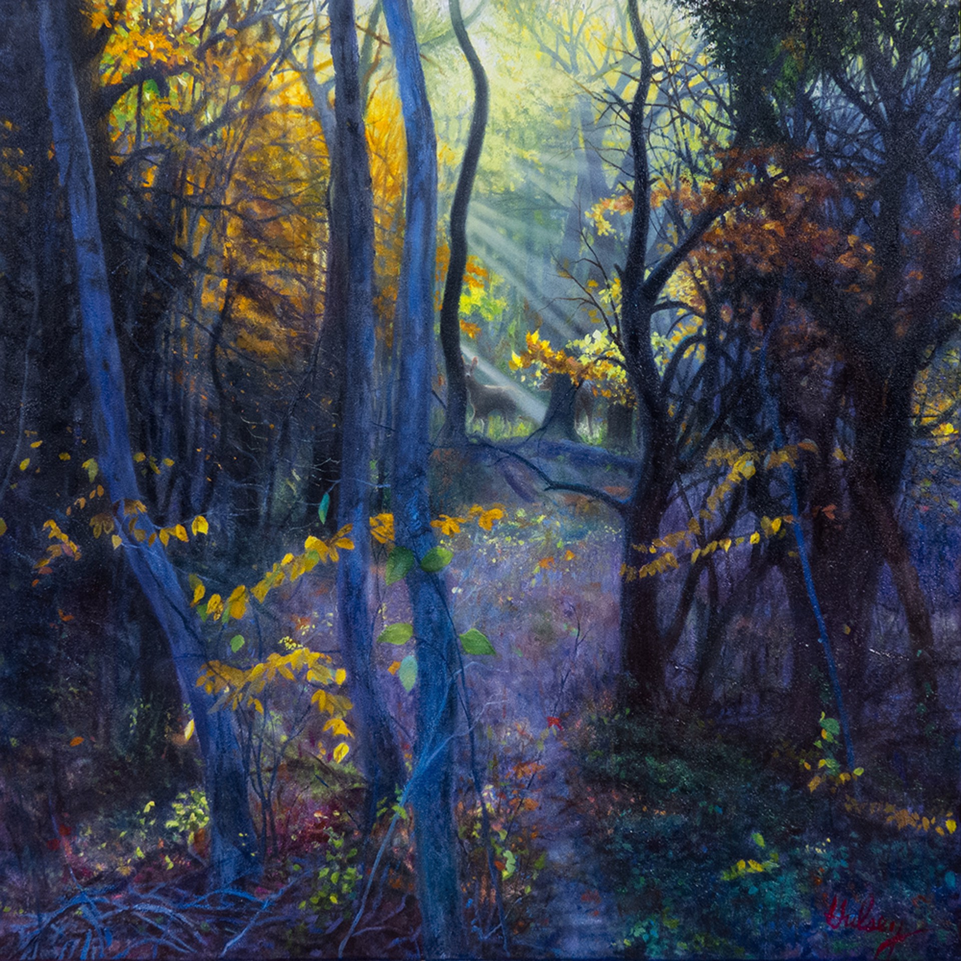 In the Forest by John Hulsey