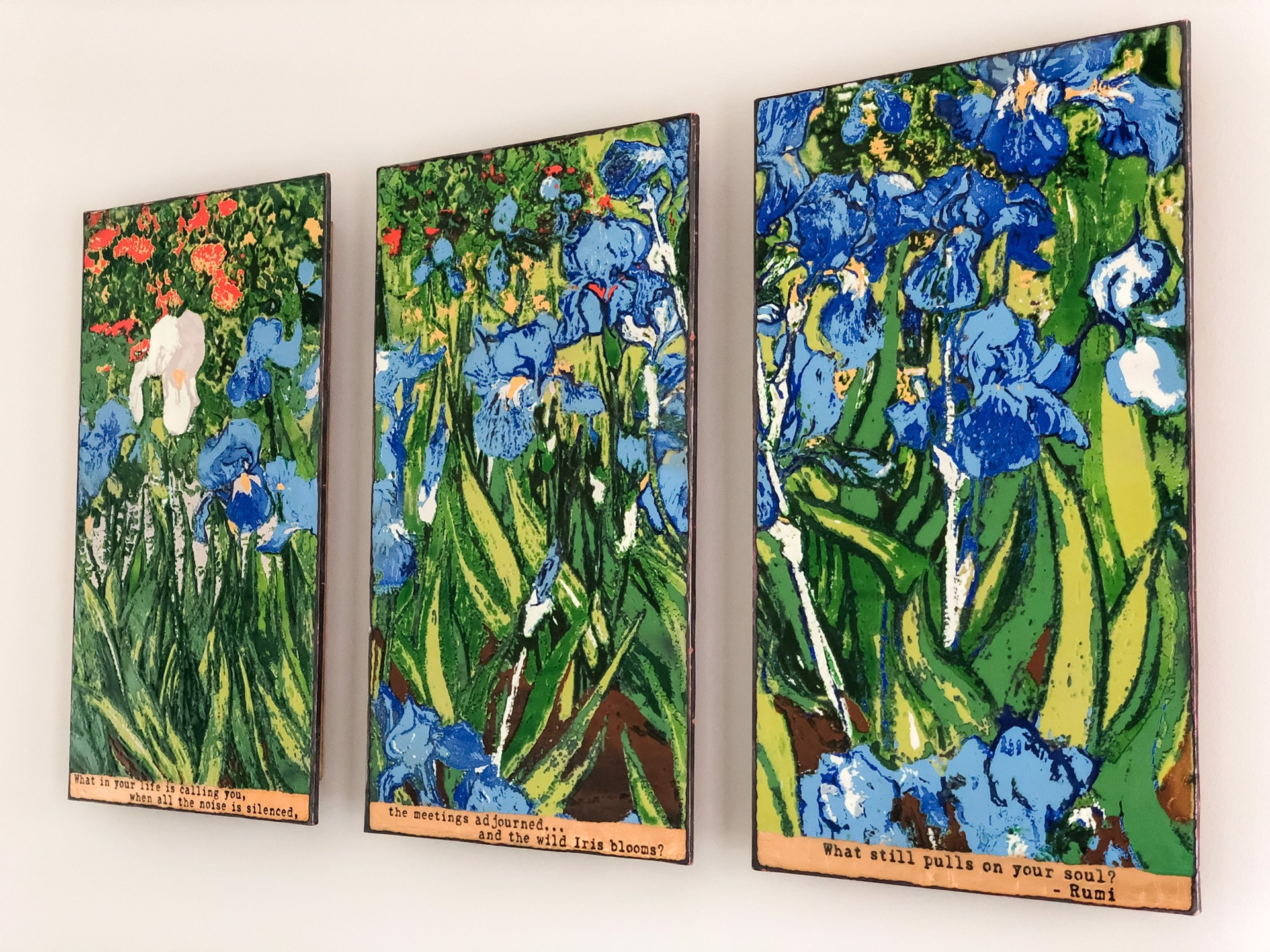 Reflections~ Limited Edition Triptych by Houston Llew Limited