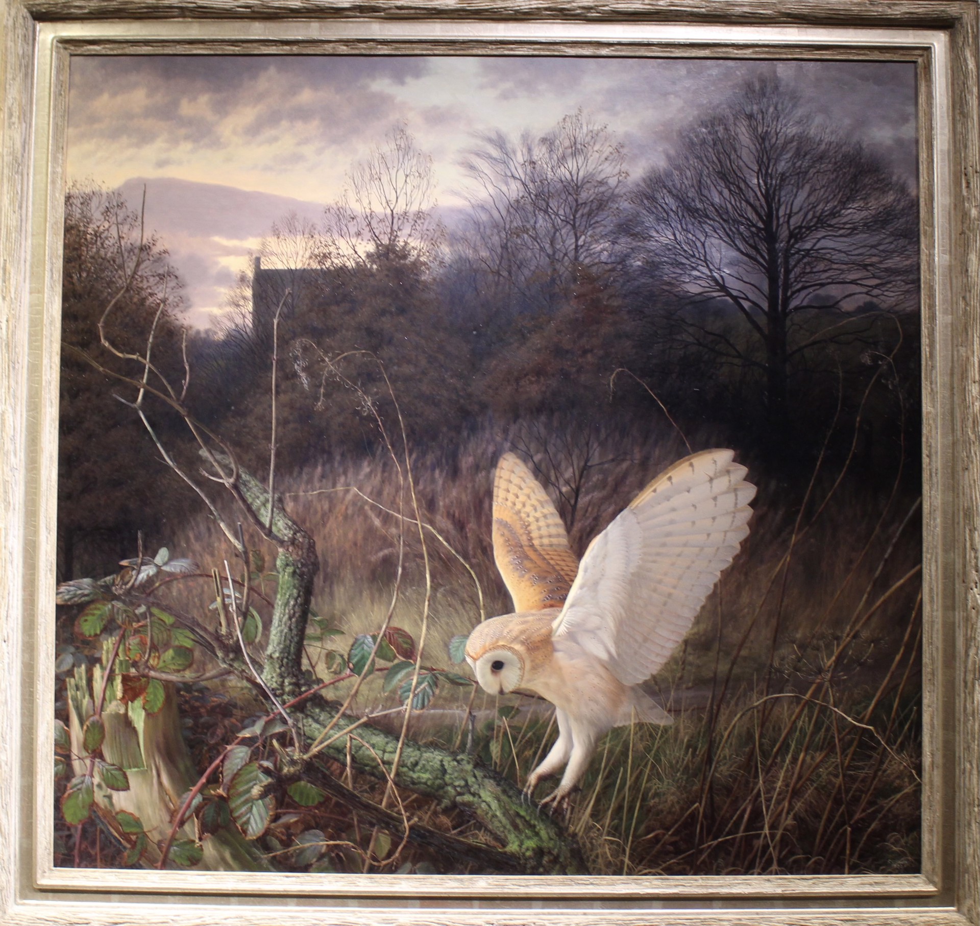 BARN OWL ON A WINTER EVENING by Raymond Booth