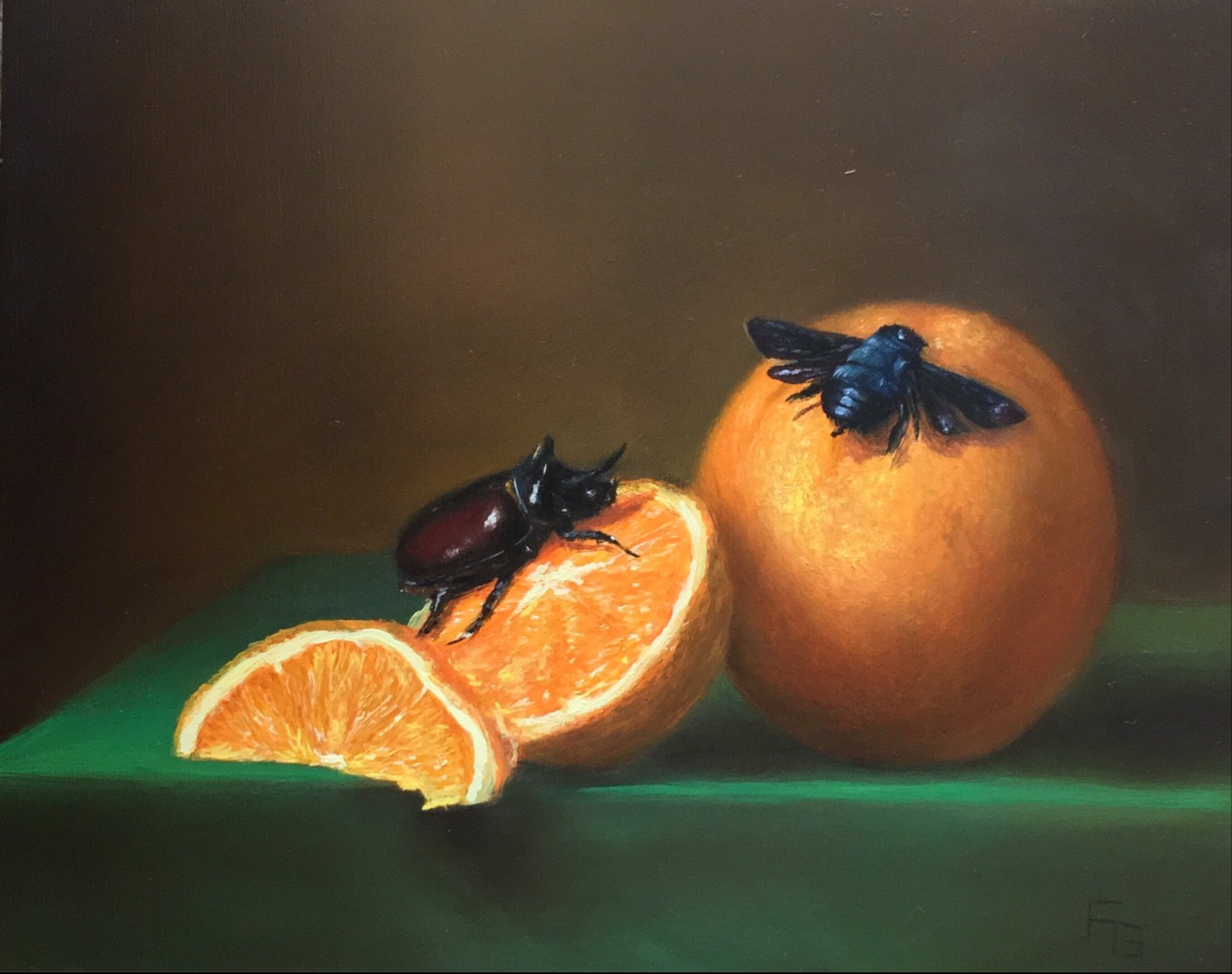 Still Life with Oranges, Rhino Beetle, and Carpenter Bee by Frankie Gollub