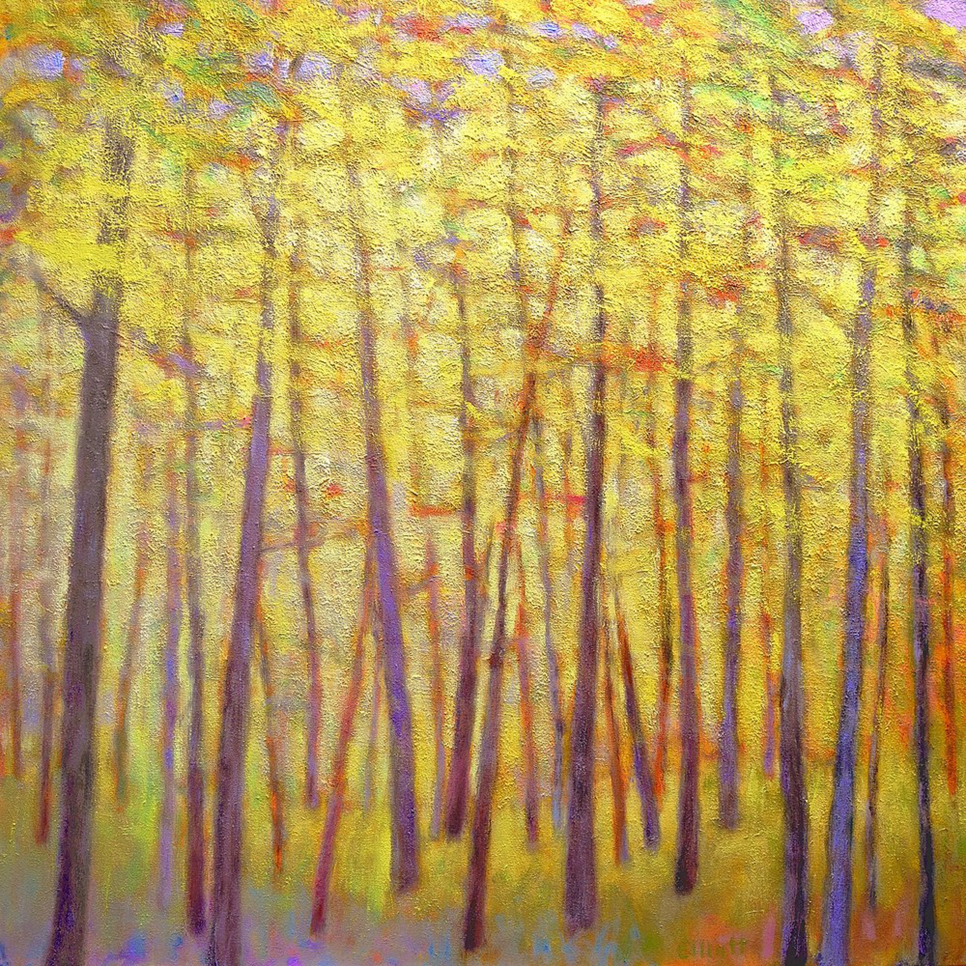 Soft Yellow Forest by Ken Elliott