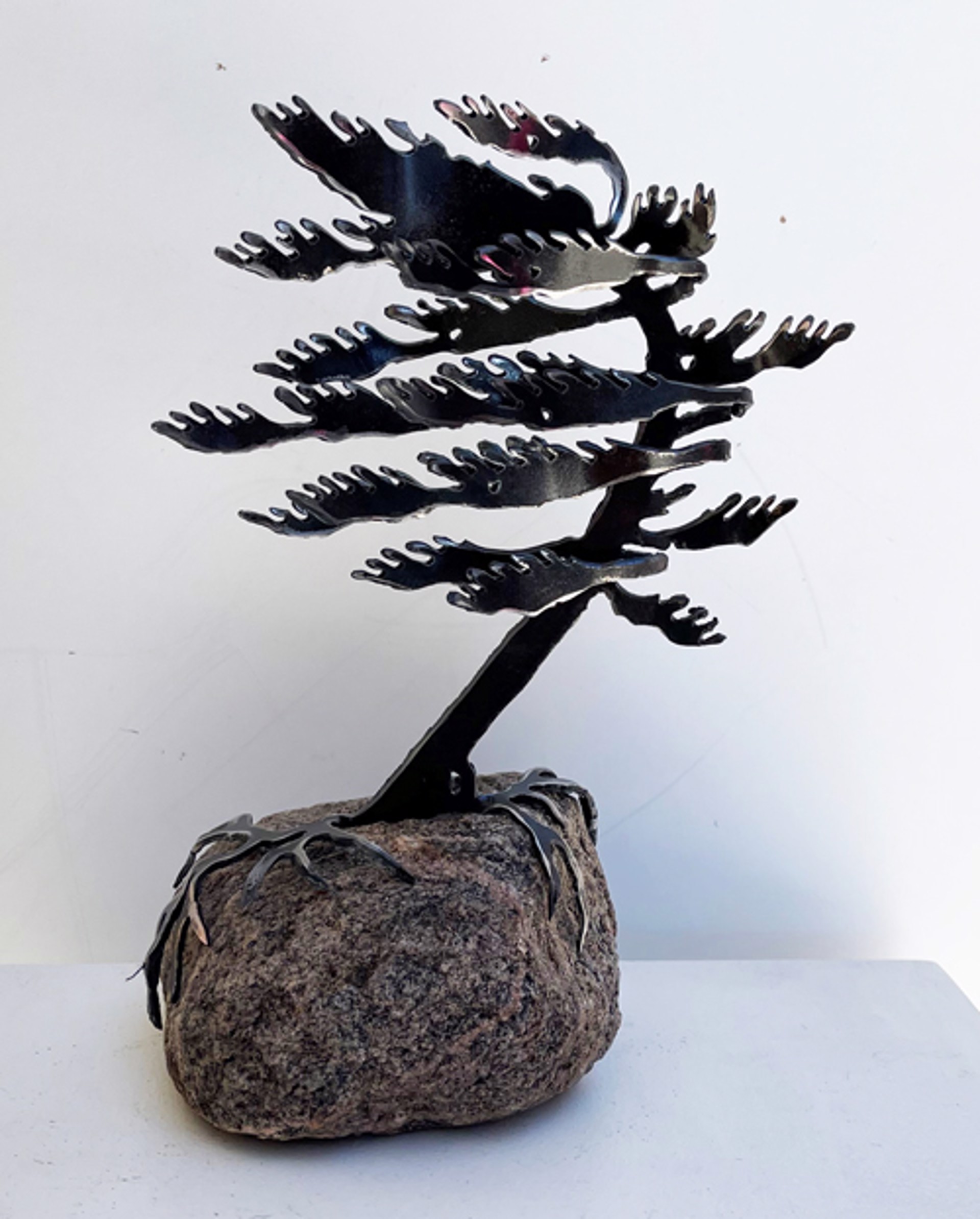 Windswept Pine 659632 by Cathy Mark
