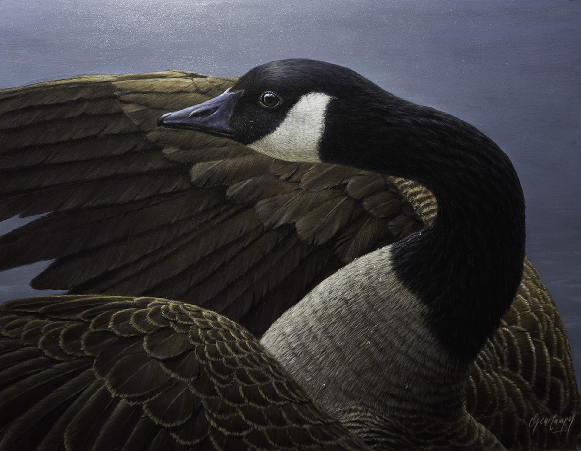 En Su Plenitud (Canadian Goose) by Oscar Campos