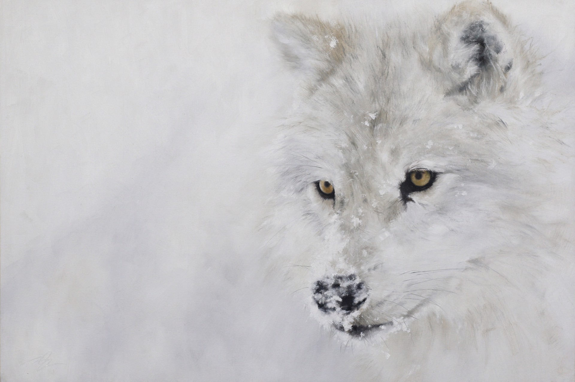 A Contemporary Black And White Painting Of A White Wolf Portrait In The Show By Doyle Hostetler At Gallery Wild