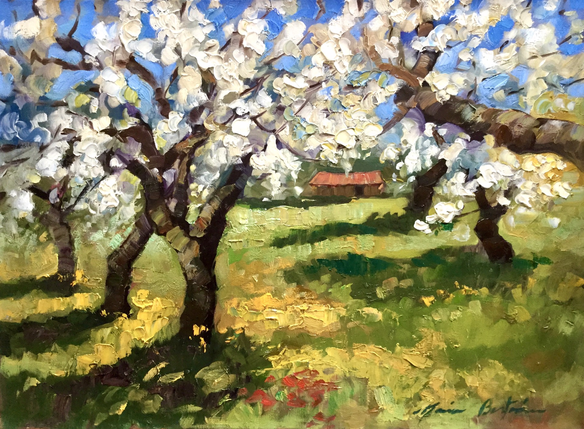 Cherry Tree Orchard In Bloom by Maria Bertrán