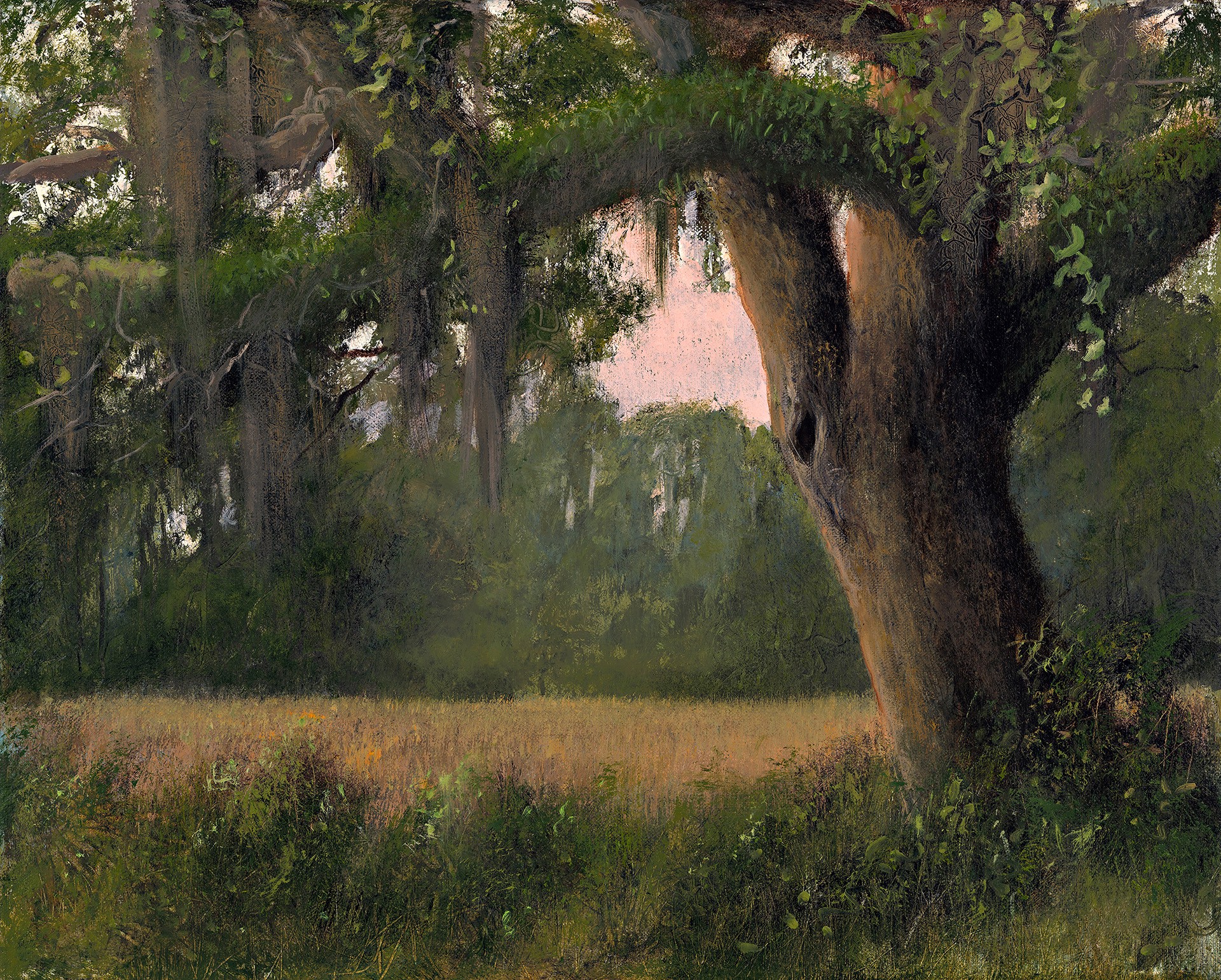 Morton Brays Oak by C. Ford Riley