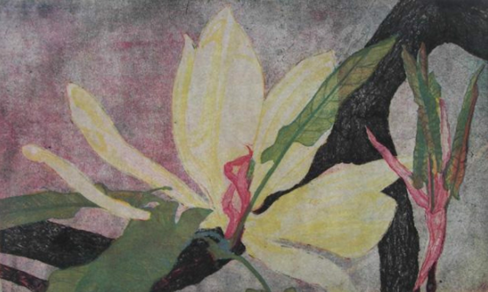 Magnolia Awakenings V (Unframed) by Jay Pfeil