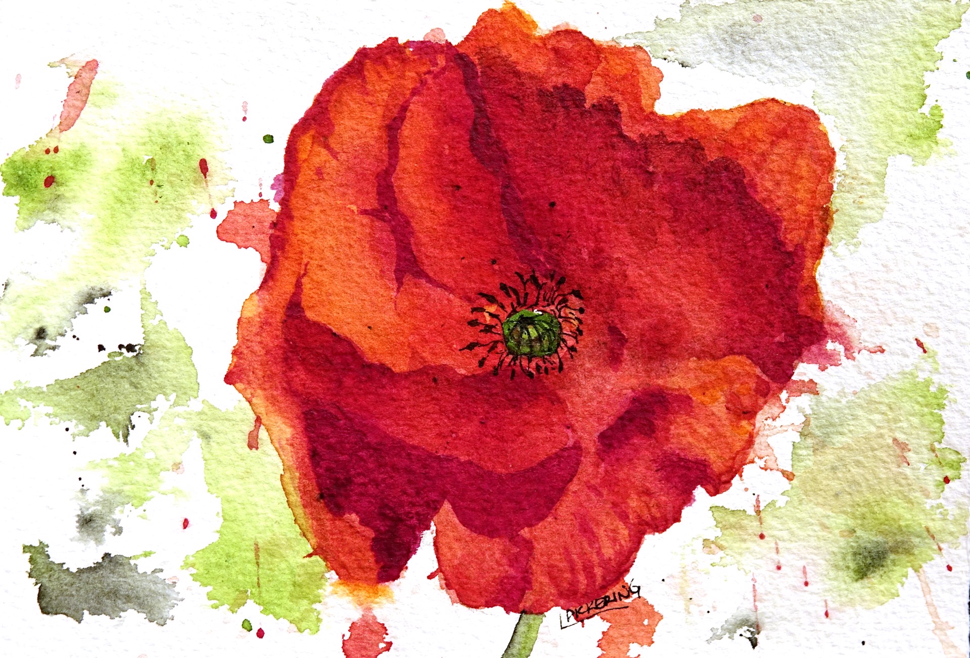 Red Poppy XXIV by Laura Pickering