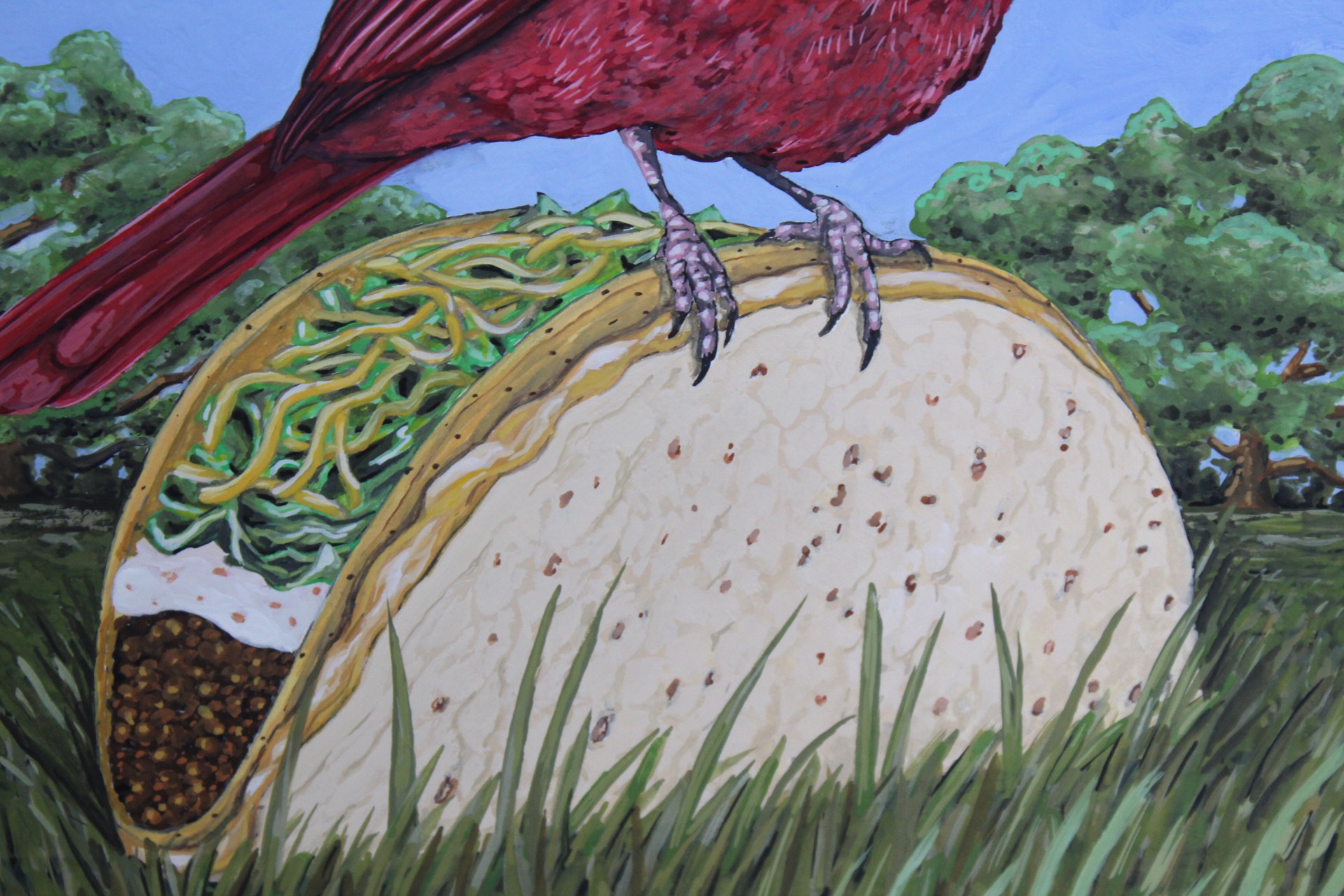 Cardinal on a Cheesy Gordita Crunch by Jeff Pastorek