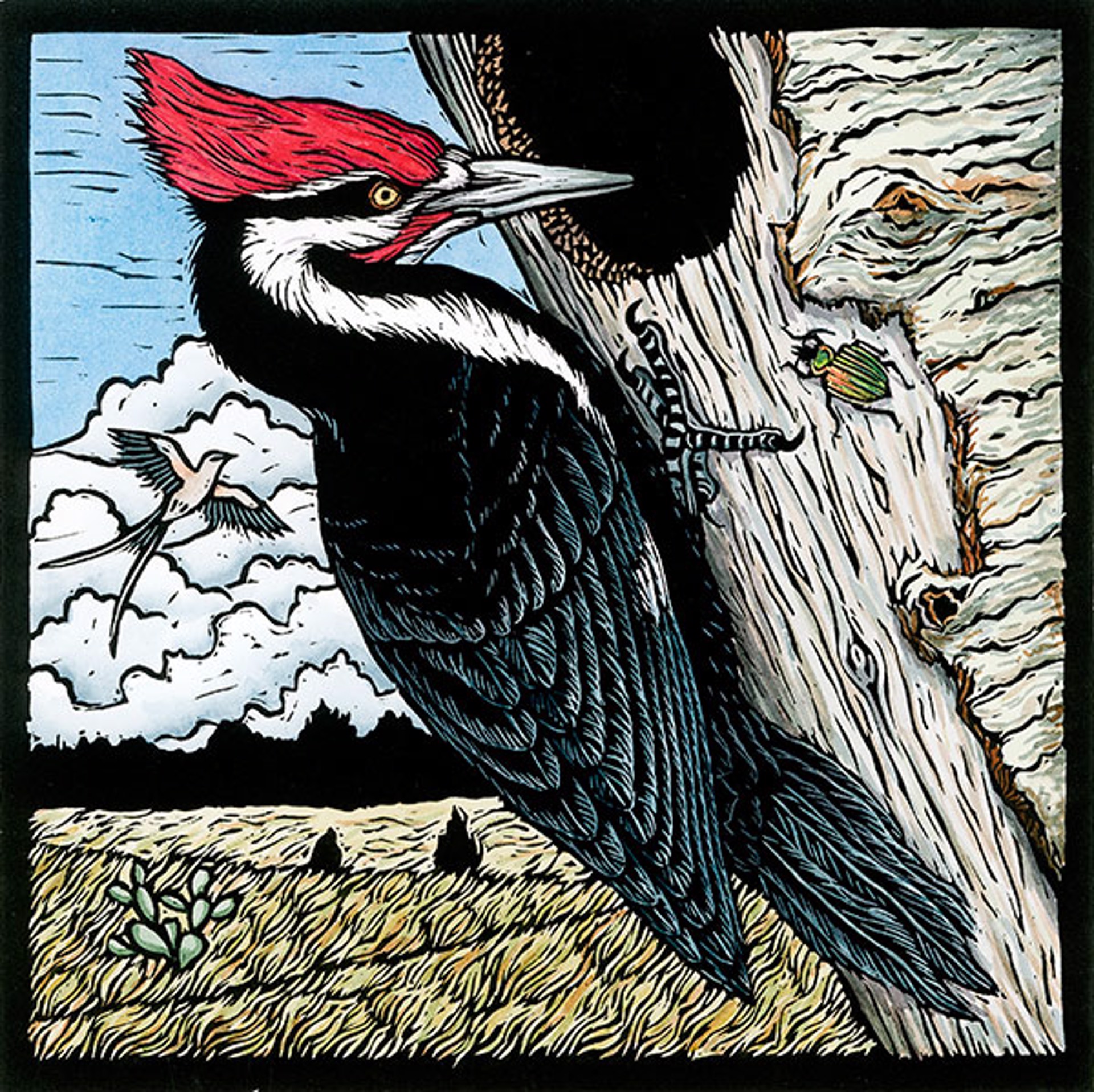 Pileated Woodpecker by Margie Crisp