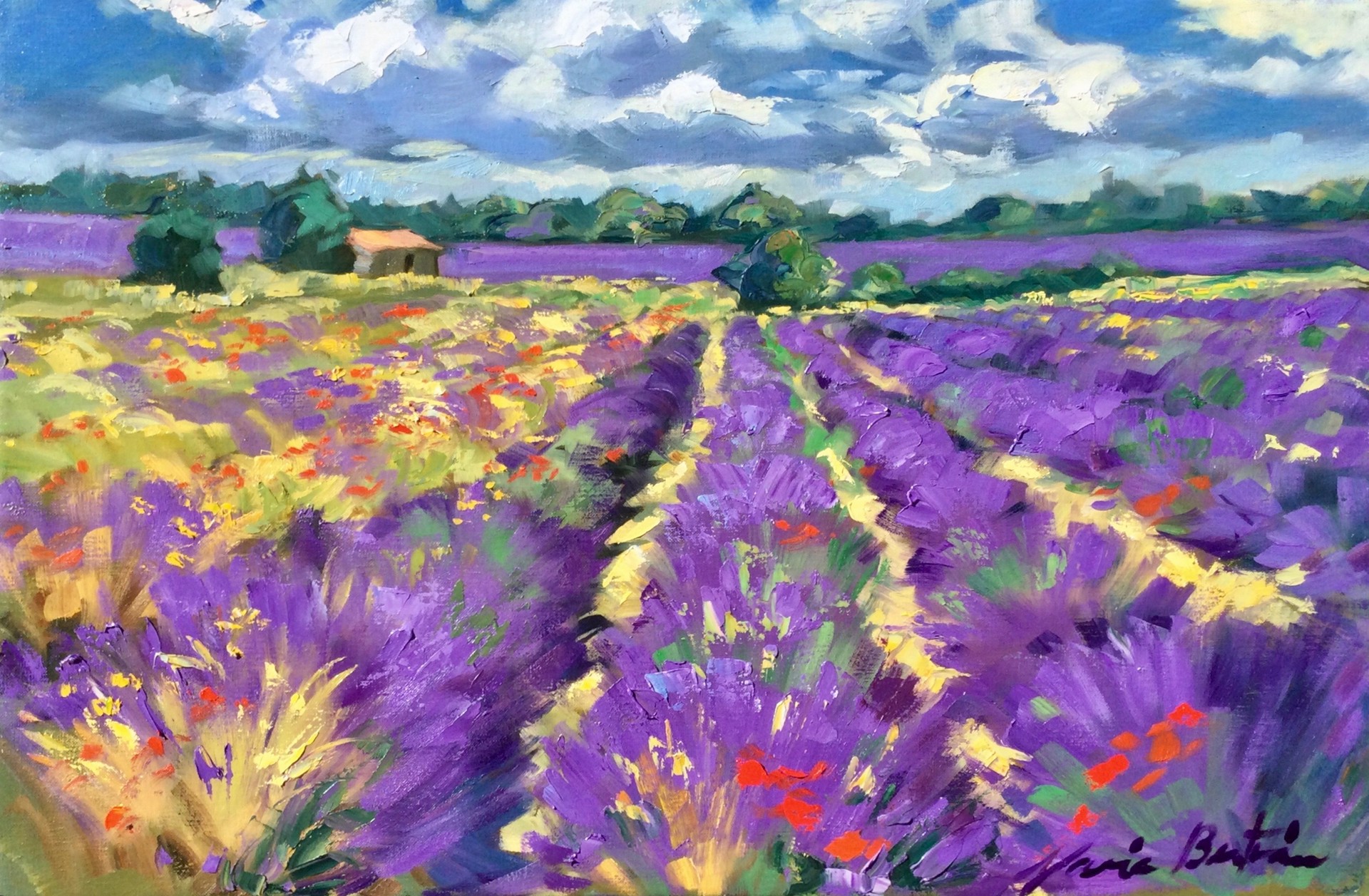 Red Flowers In The Lavender by Maria Bertrán