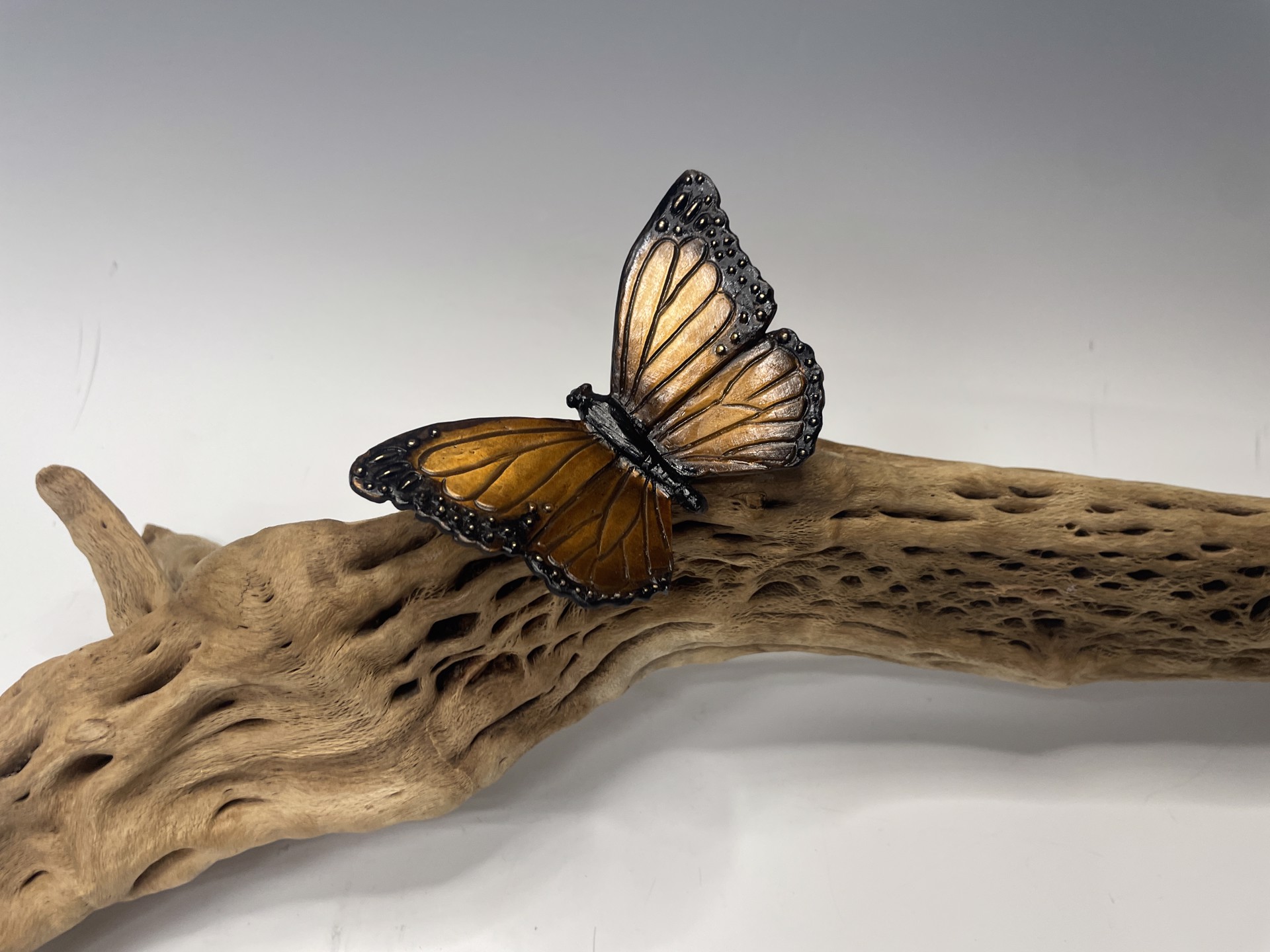 Monarch Butterfly by Diana Simpson
