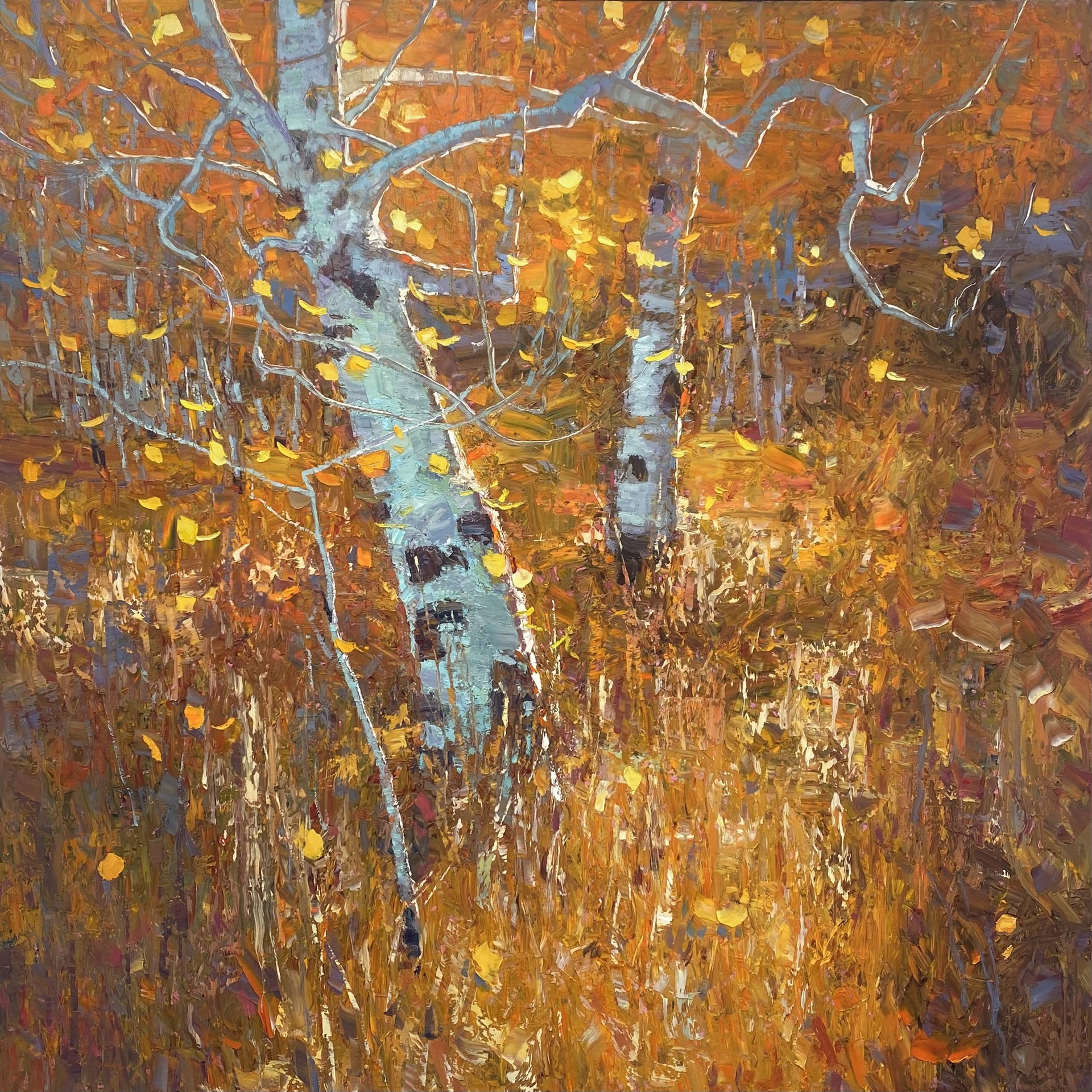 Original Oil Painting Featuring A Fall Landscape With Close Up Aspen Trees