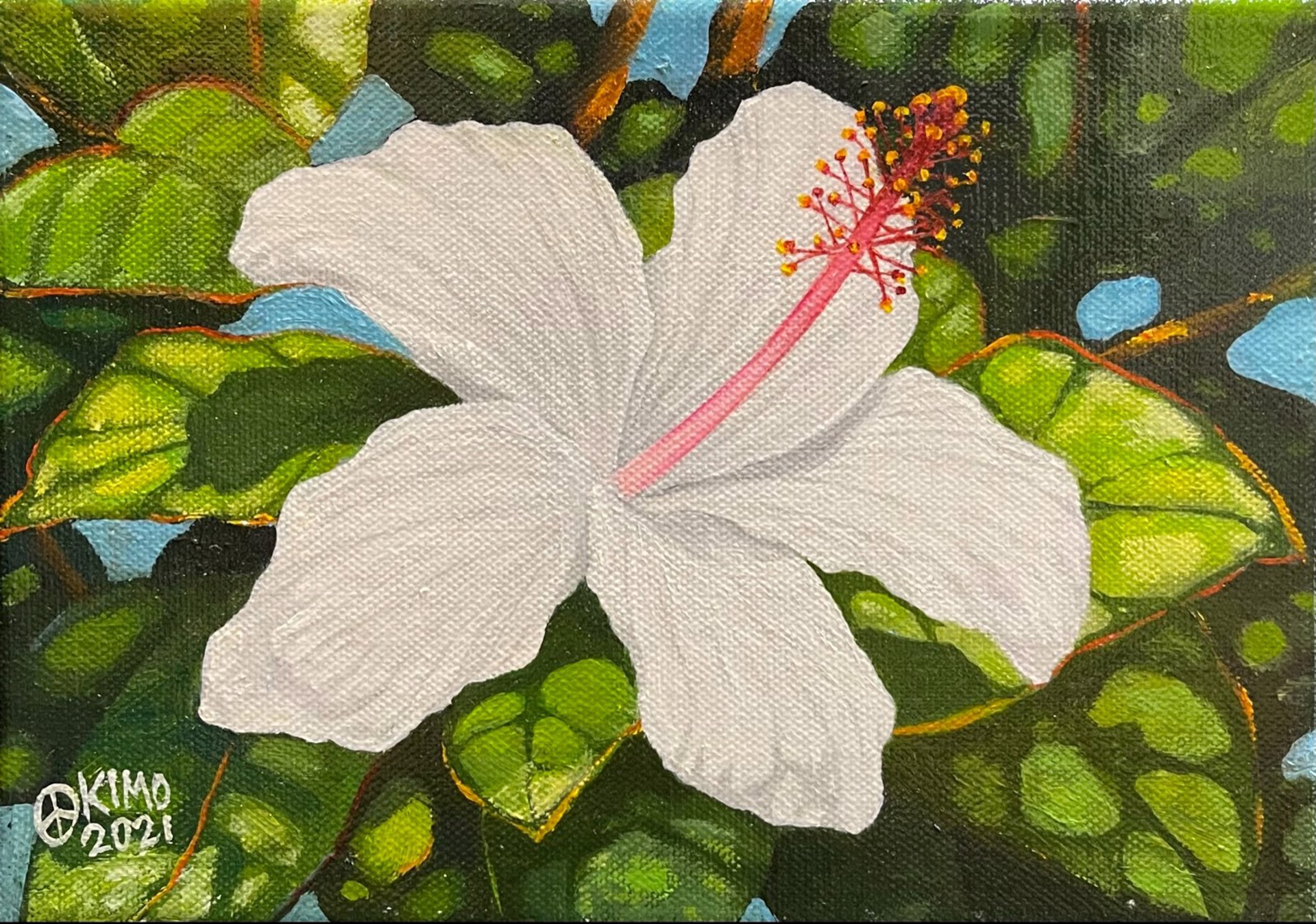 White Plumeria by Kimo